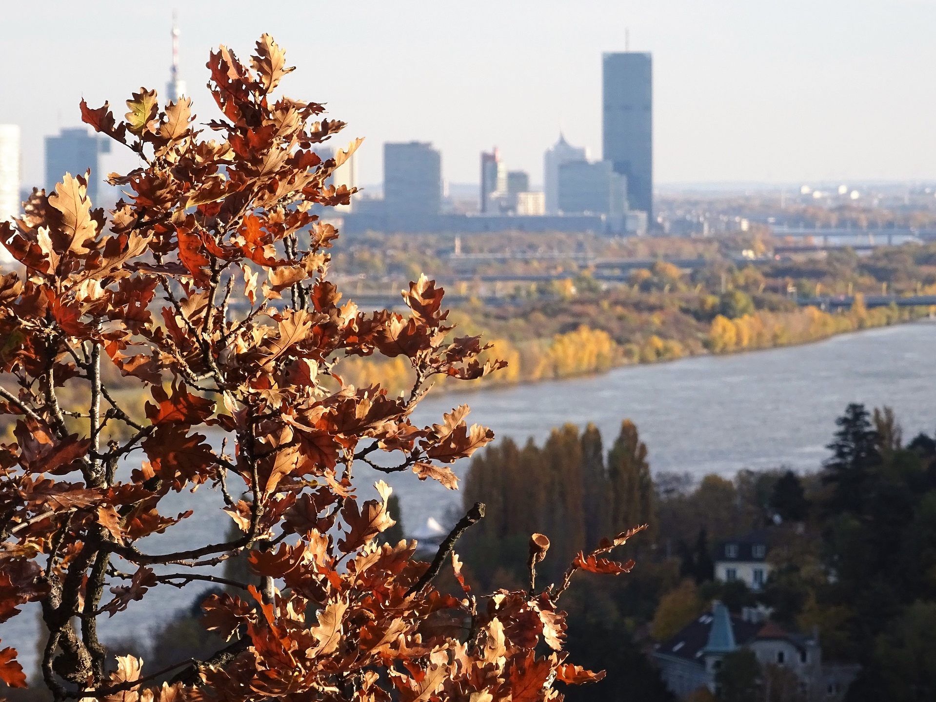 Laut ZAMG soll es vorerst nur ein "Herbst light" werden. Laut ZAMG soll es vorerst nur ein "Herbst light" werden.