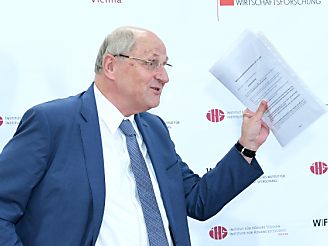 Wäre 2017 beinahe gegangen: Wifo-Chef Christoph Badelt