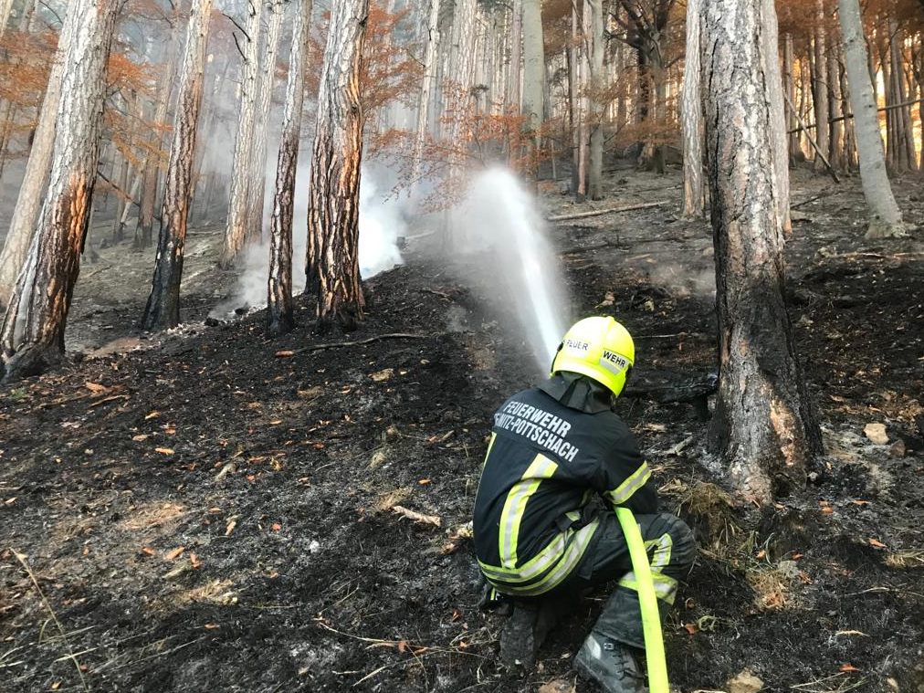 Eine weitere Ausbreitung des Feuers konnte beim Waldbrand im Rax-Gebiet vermieden werden.