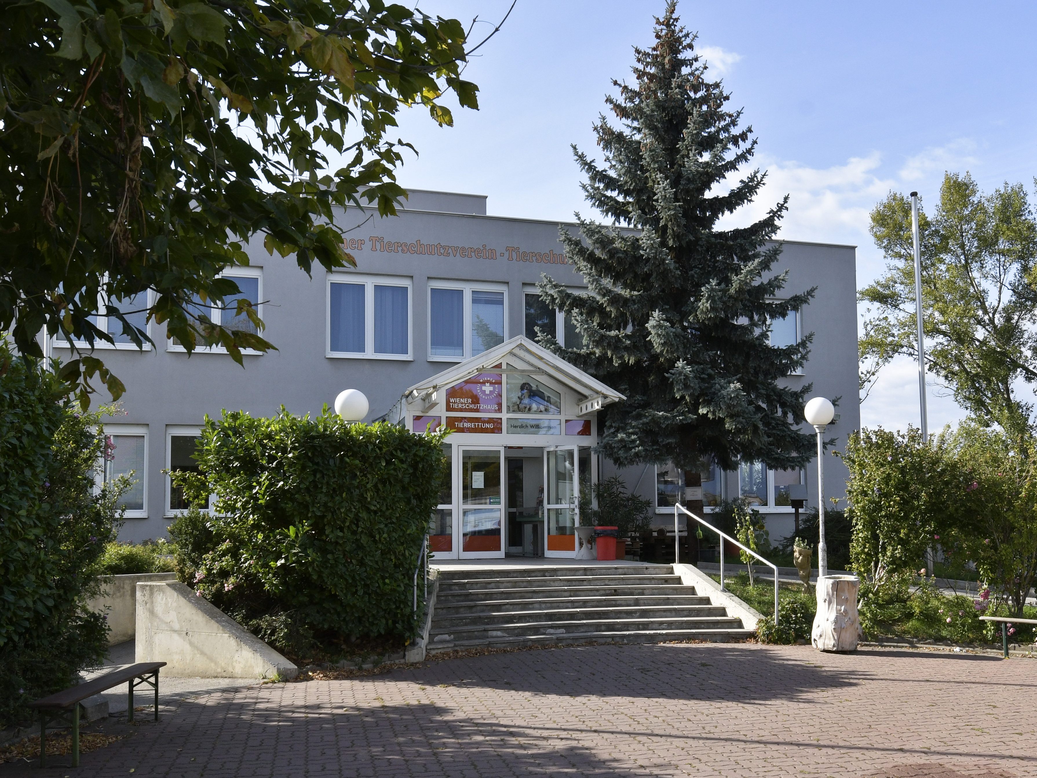 Der Wiener Tierschutzverein, welcher ein Tierschutzhaus in Vösendorf betreibt, feiert sein 175-jähriges Bestehen. Der Wiener Tierschutzverein, welcher ein Tierschutzhaus in Vösendorf betreibt, feiert sein 175-jähriges Bestehen.