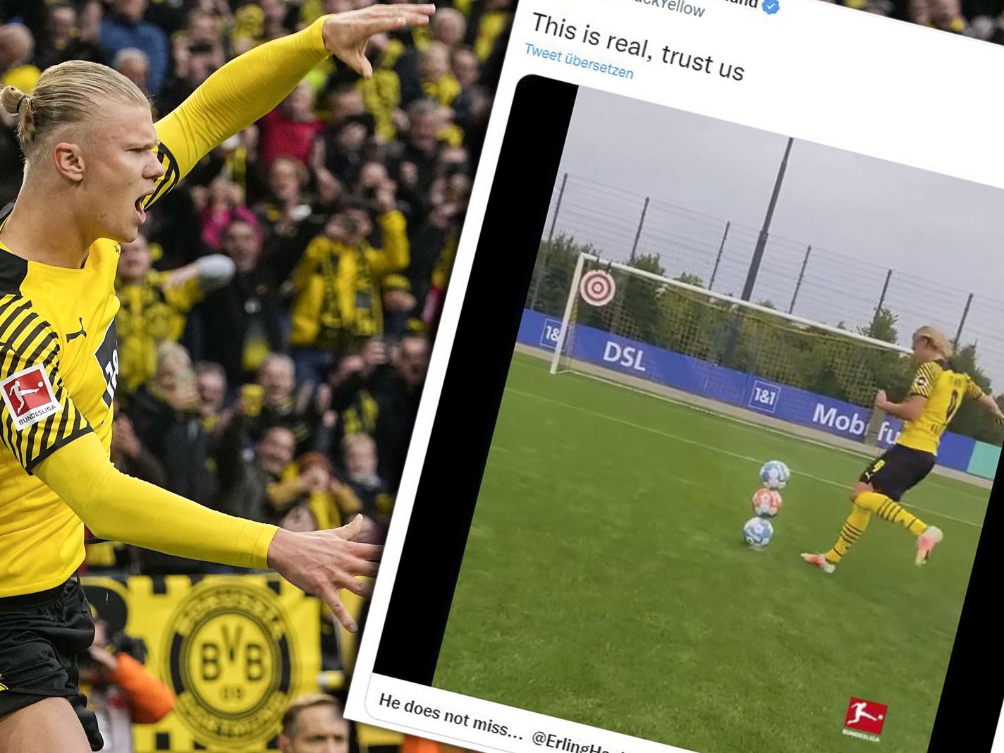 Kaum zu glauben, aber der BVB sagt, dieses Video ist echt.