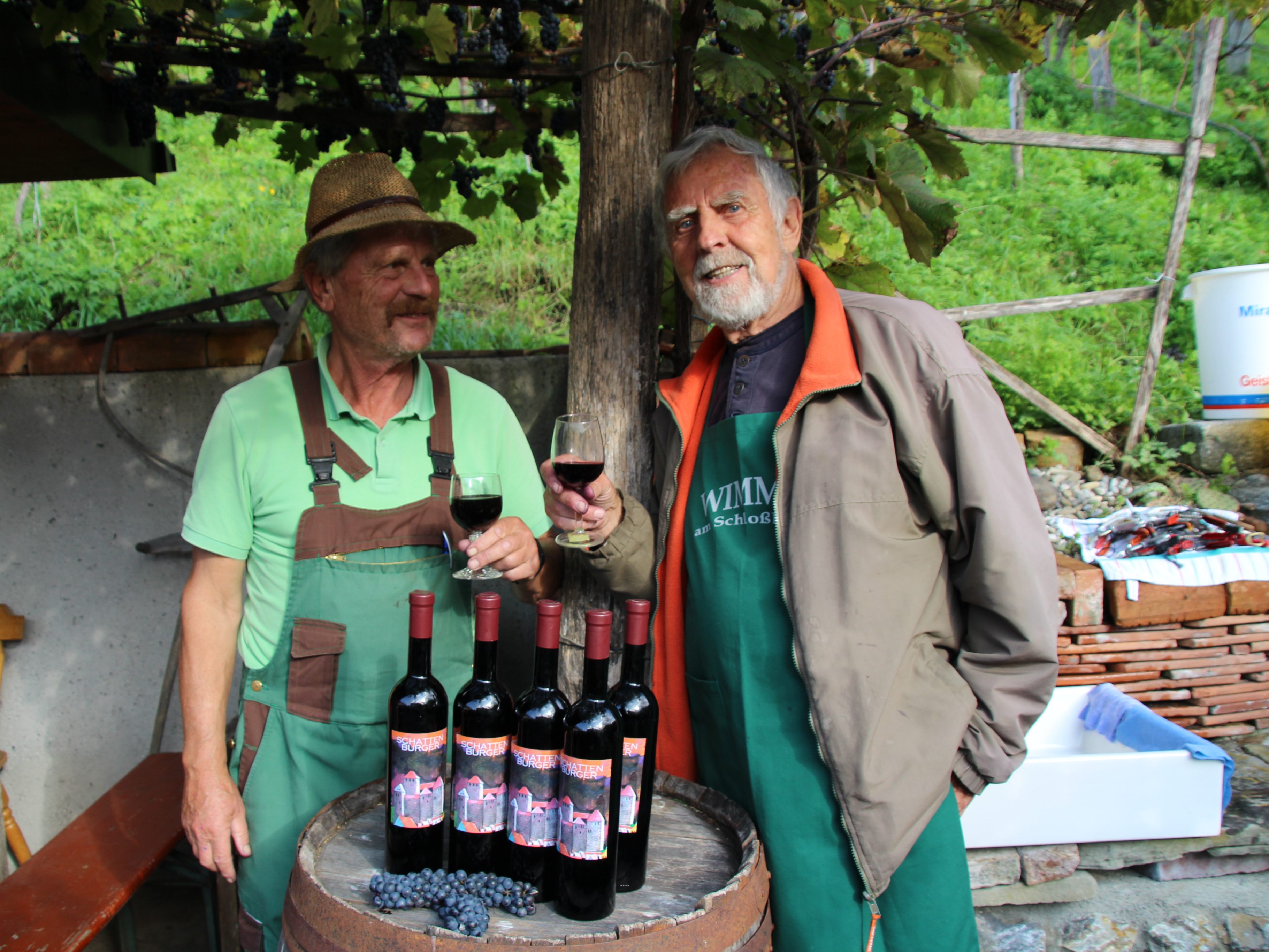 Die Schattenburg-Winzer Elmar Müller und Walter Büchel in ihrem Weingarten. Die Schattenburg-Winzer Elmar Müller und Walter Büchel in ihrem Weingarten.