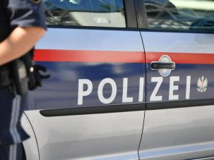 Nach Fahndung in Wien: 30-Jähriger stellte sich der Polizei.