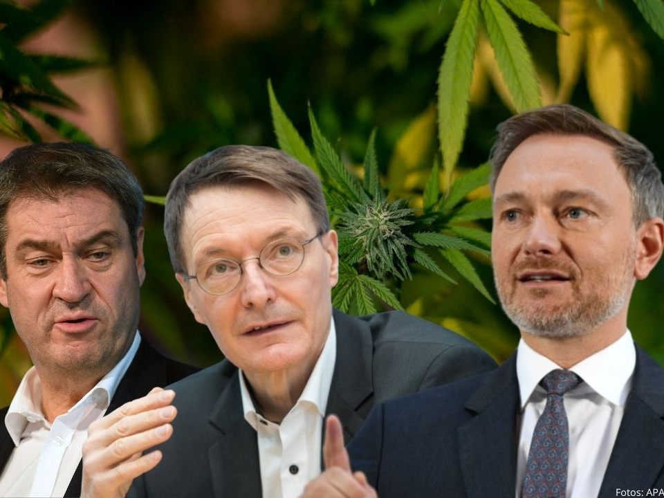 Cannabis: Legalisierungsdebatte in Deutschland.