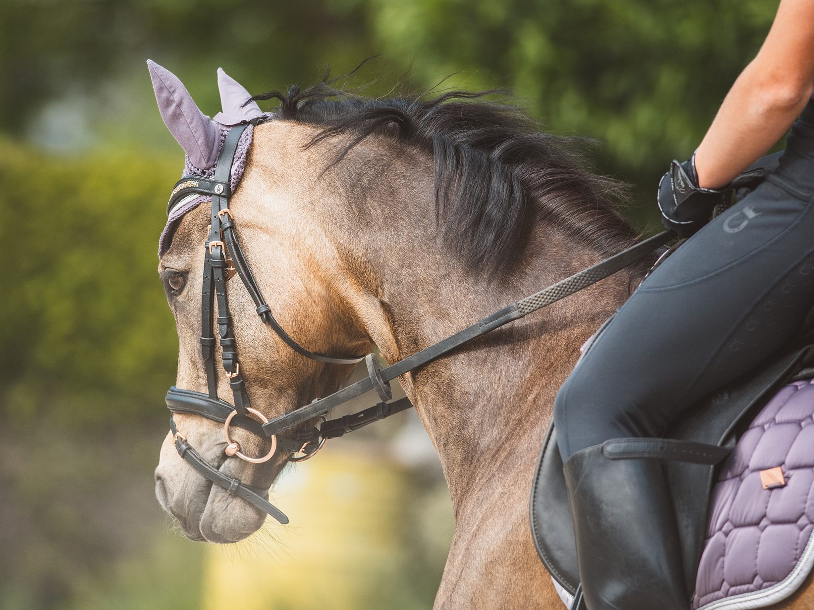 Die Frau stürzte von ihrem Pony.