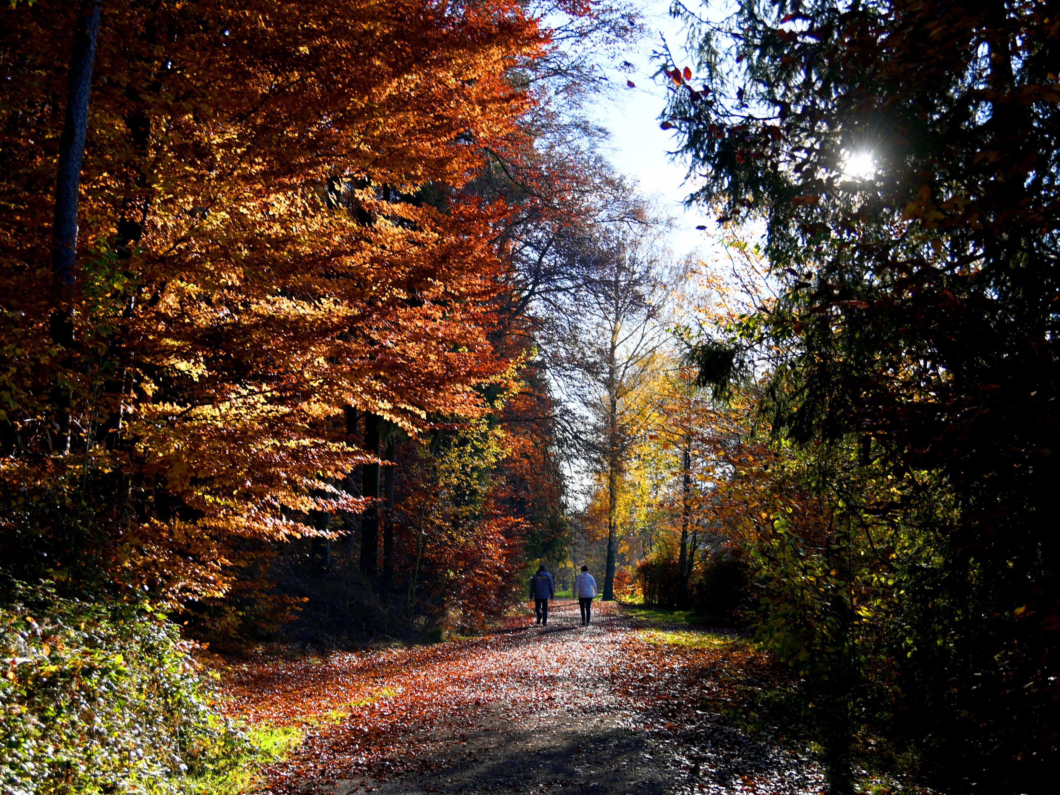 Der Herbst 2021 landet unter den Top 6 der sonnigsten Herbste der Messgeschichte.