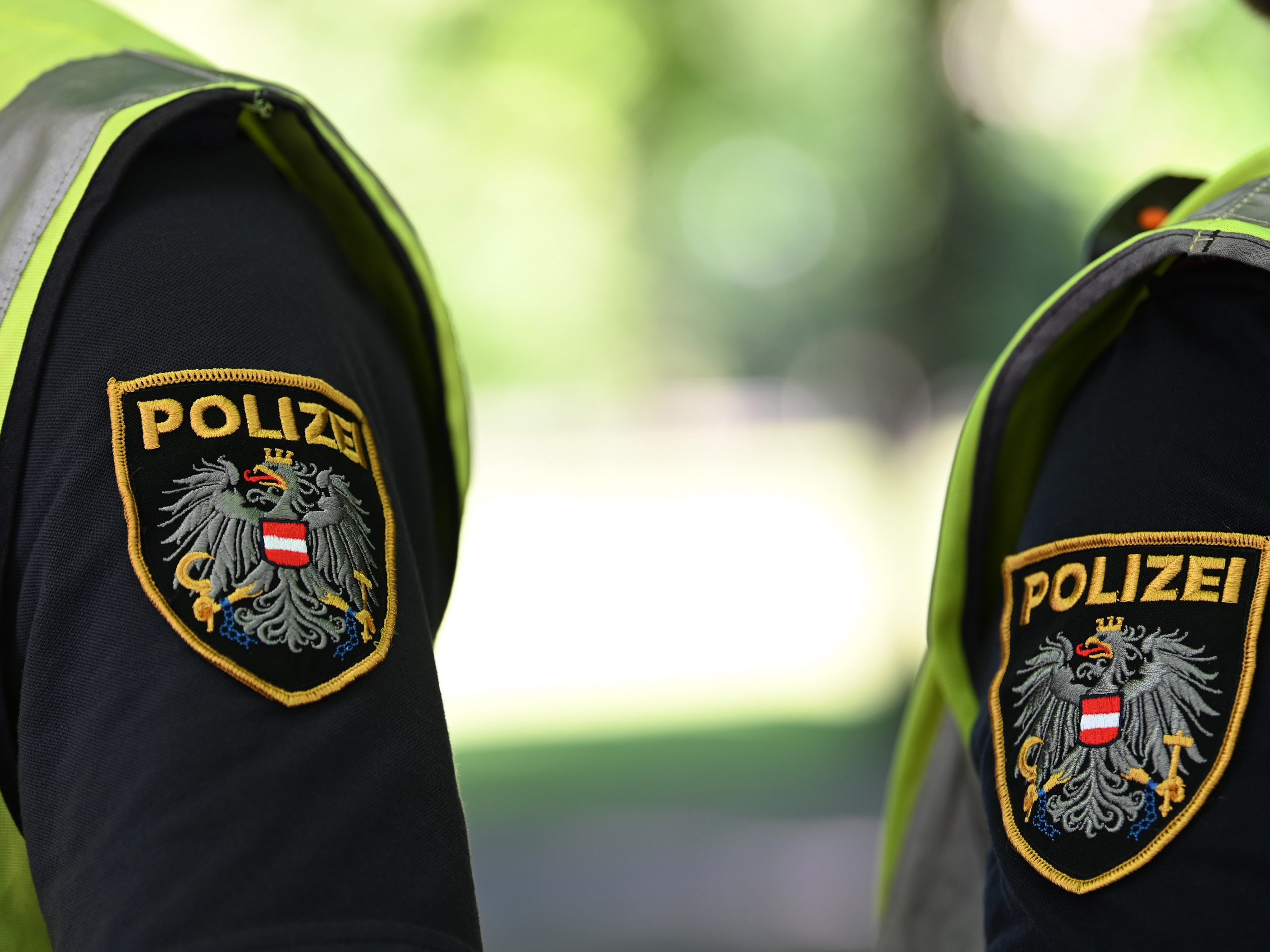 Ein 76-jähriger Fußgänger kam im Bezirk Baden ums Leben.