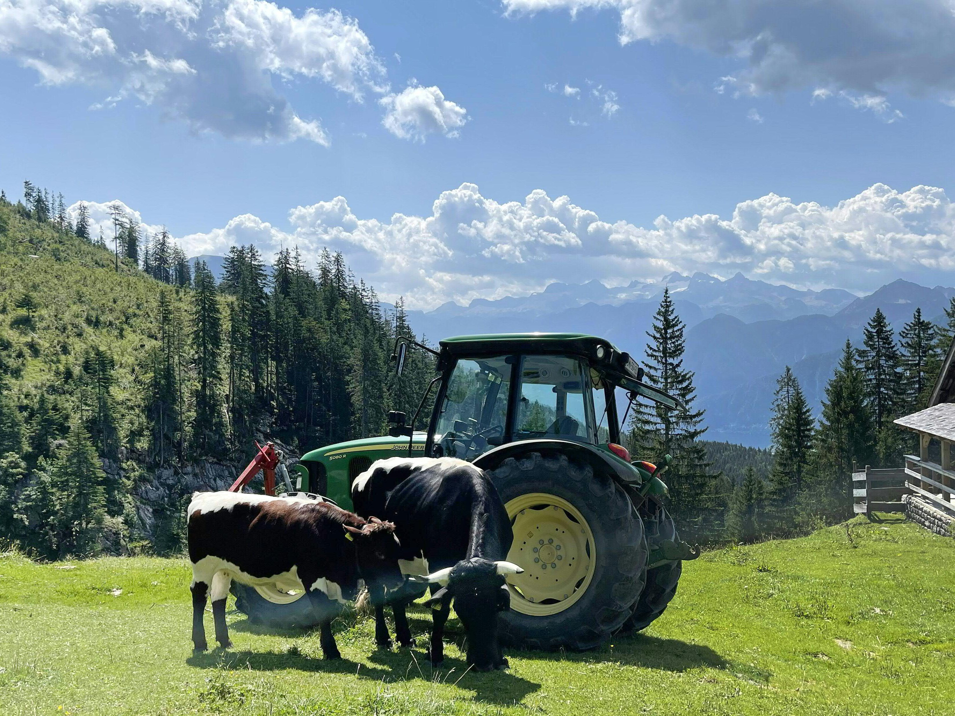 Bauern und Produzenten werden gegenüber dem Handel gestärkt
