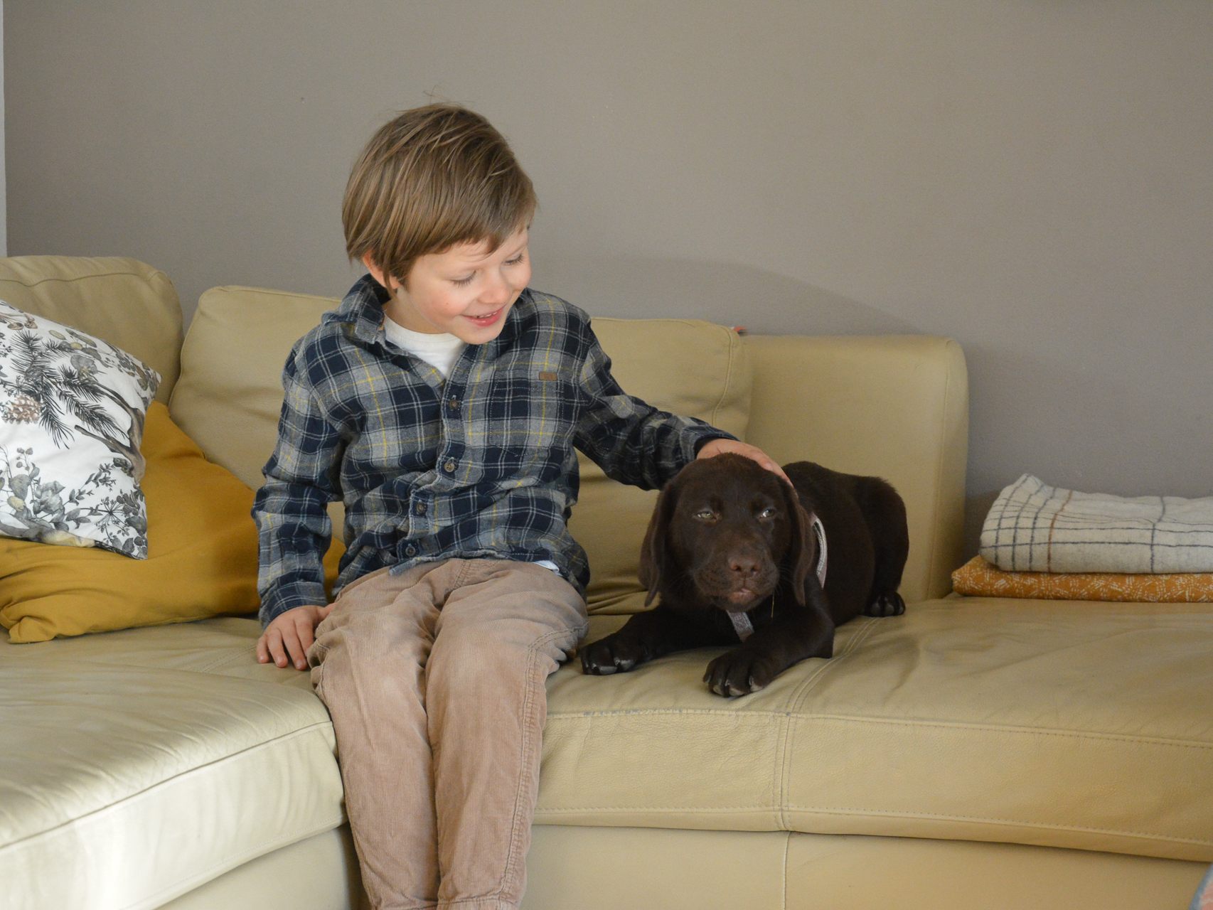 Der kleine Liam (5) hat seinen eigenen Assistenzhund, der ihn beschützt und ein treuer Begleiter durchs Leben sein wird. Der kleine Liam (5) hat seinen eigenen Assistenzhund, der ihn beschützt und ein treuer Begleiter durchs Leben sein wird.