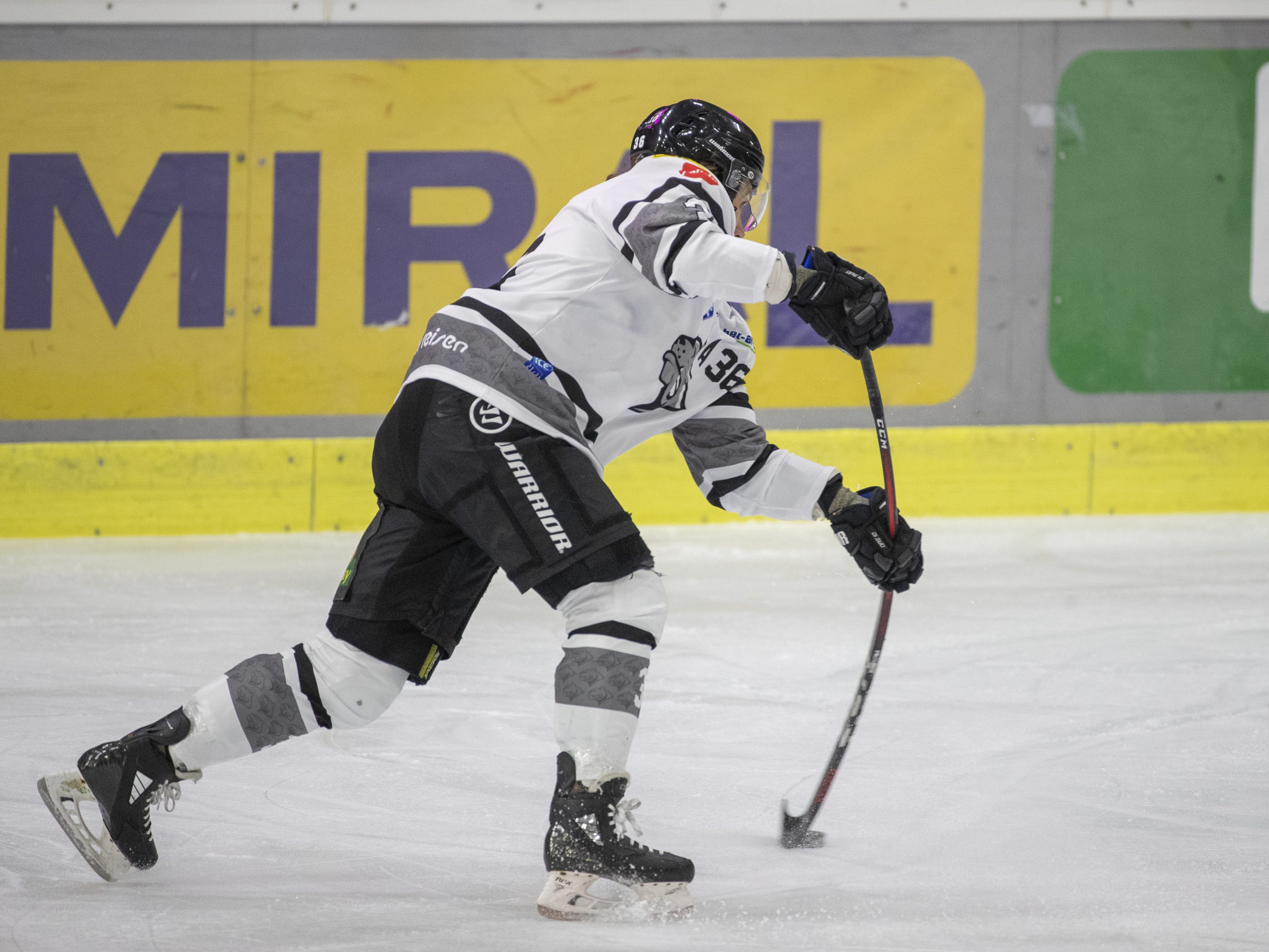 Die Bulldogs kassierten auch in Graz eine Niederlage.