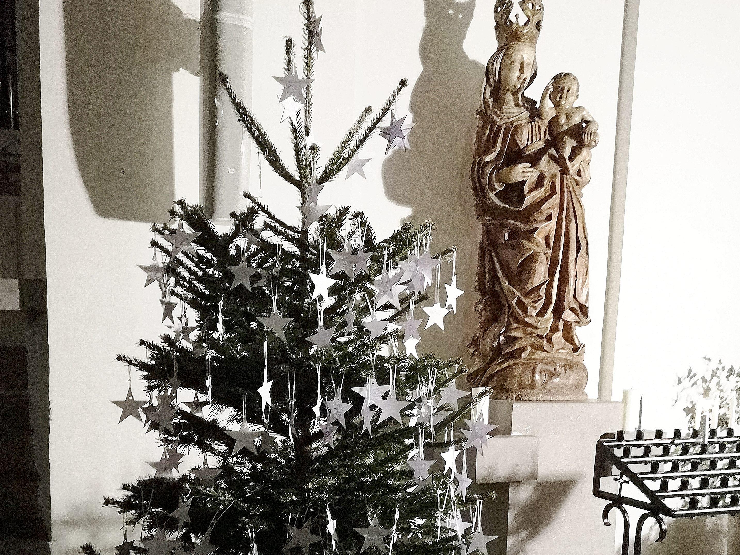 Auch heuer gibt es in der Pfarre St. Martin wieder einen Tannenbaum für Anliegen und Wünsche. Auch heuer gibt es in der Pfarre St. Martin wieder einen Tannenbaum für Anliegen und Wünsche.