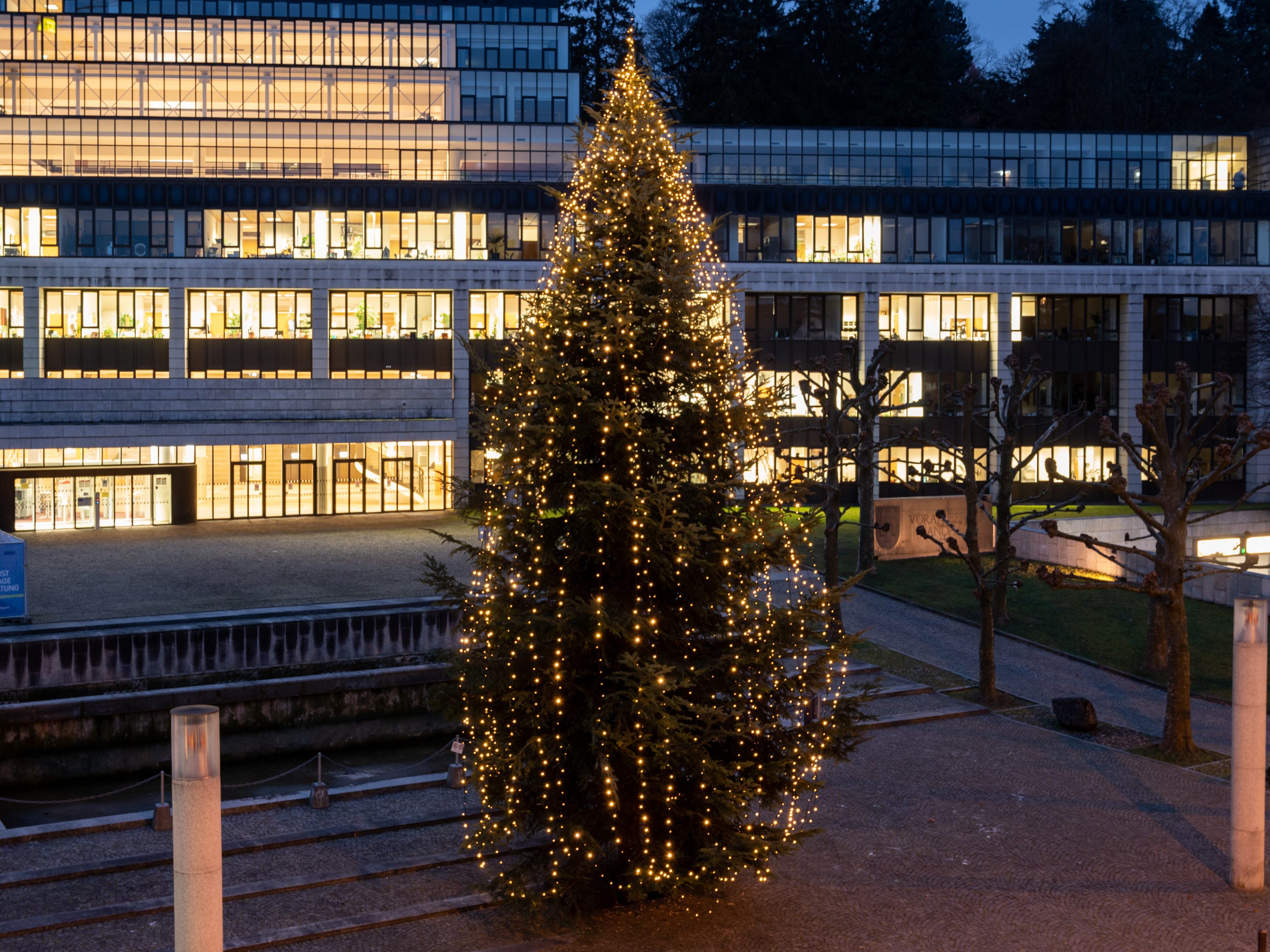 Weihnachtsbaum aus Göfis erleuchtet den Landhausvorplatz