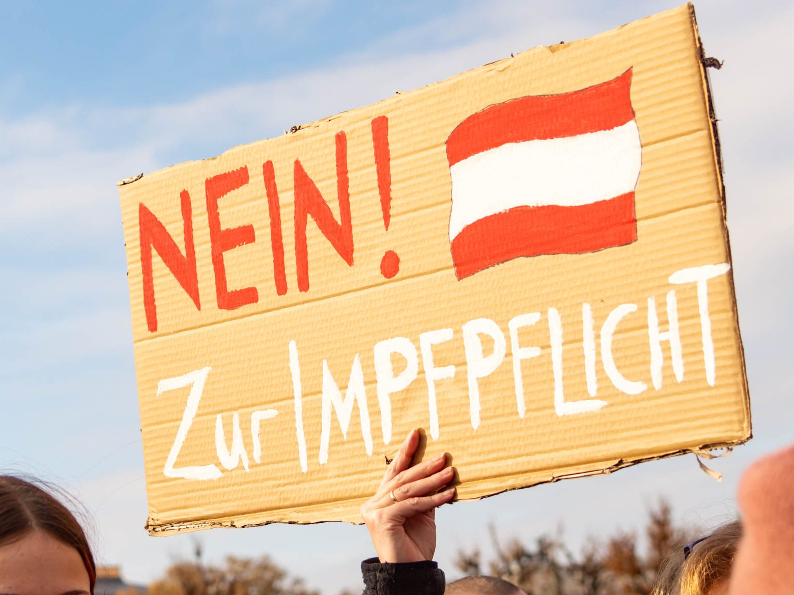 Demonstration gegen Corona-Maßnahmen in Wien am 20.11.2021 Teil 2