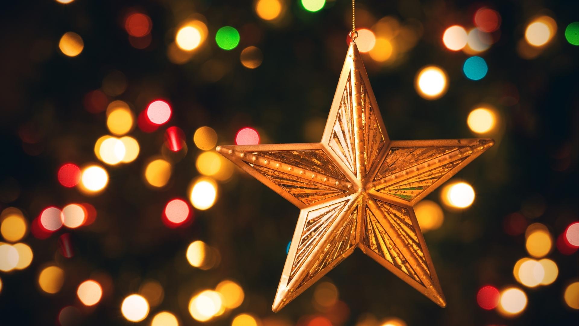 Stern von Bethlehem oder Weihnachtsstern Stern von Bethlehem oder Weihnachtsstern