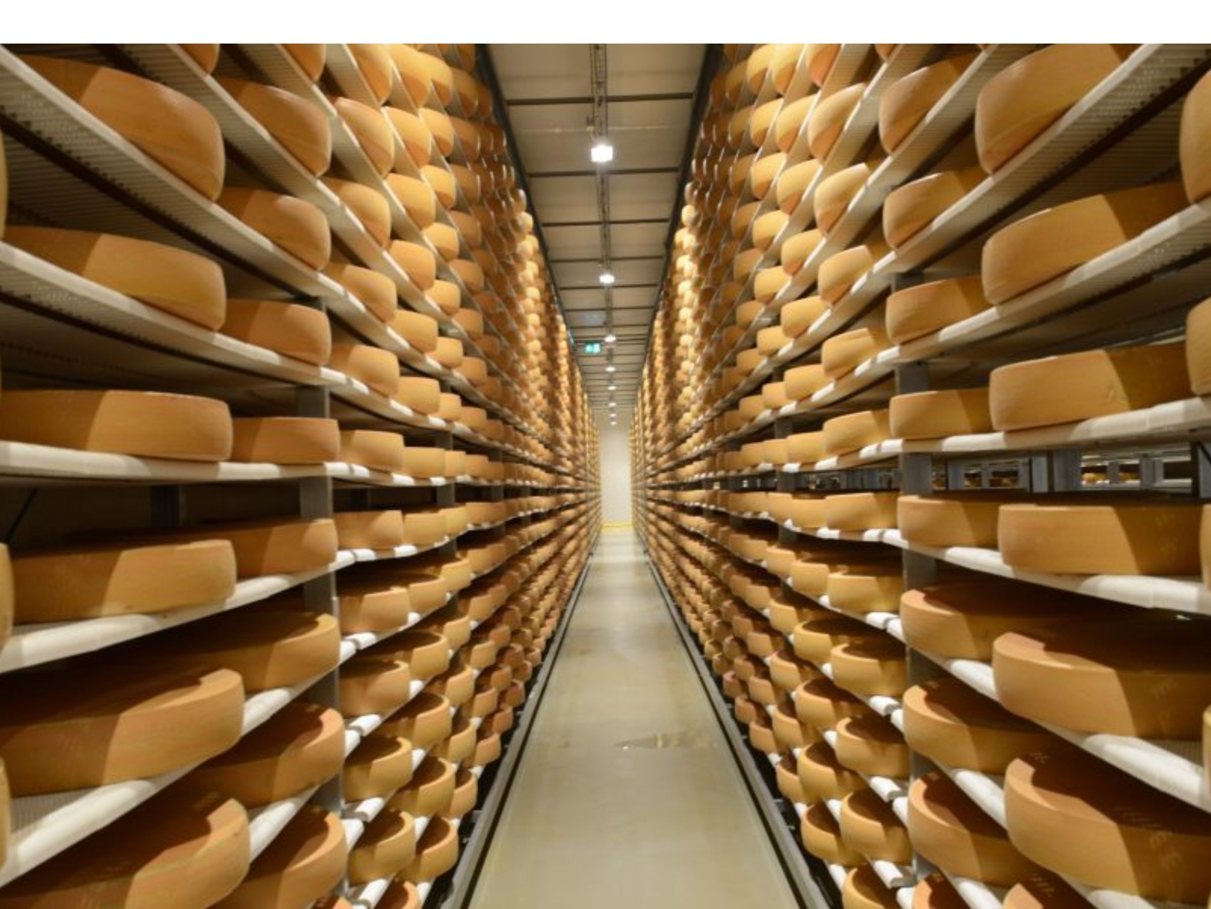 Der Schlinser Käse konnte wieder große Auszeichnungen einfahren Der Schlinser Käse konnte wieder große Auszeichnungen einfahren