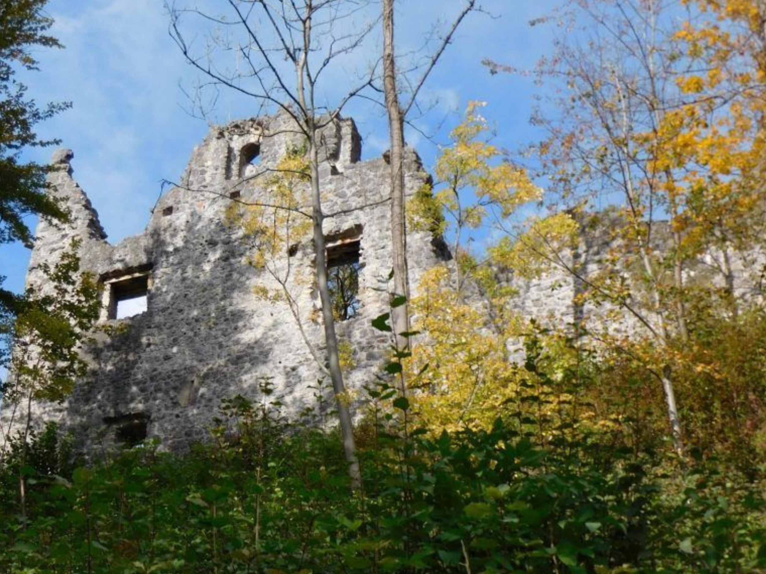 In den vergangenen Wochen wurde wieder für freie Sicht auf die Burgruine Neuburg gesorgt