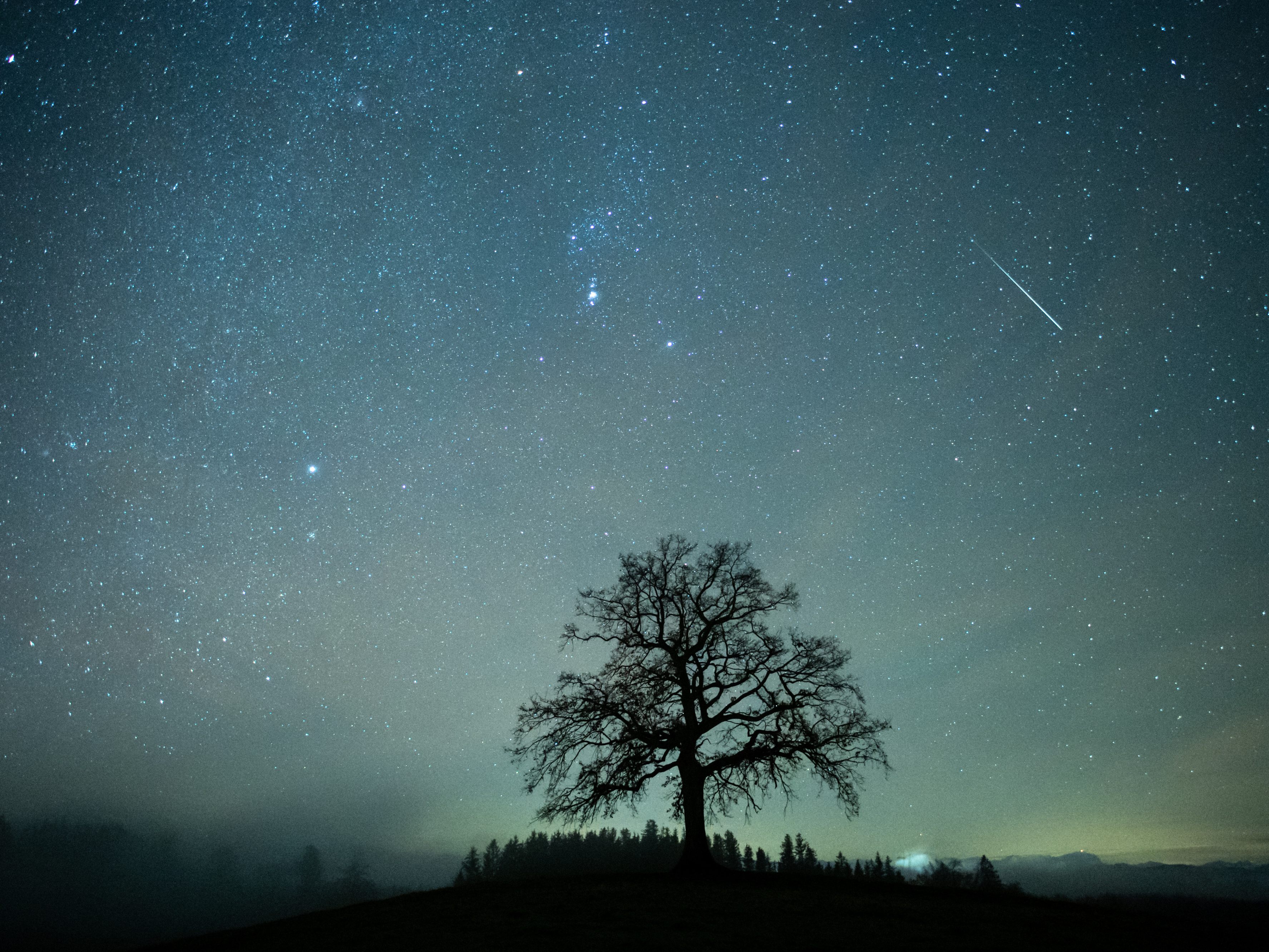 Eine Sternschnuppe während des Geminiden-Meteorstroms.