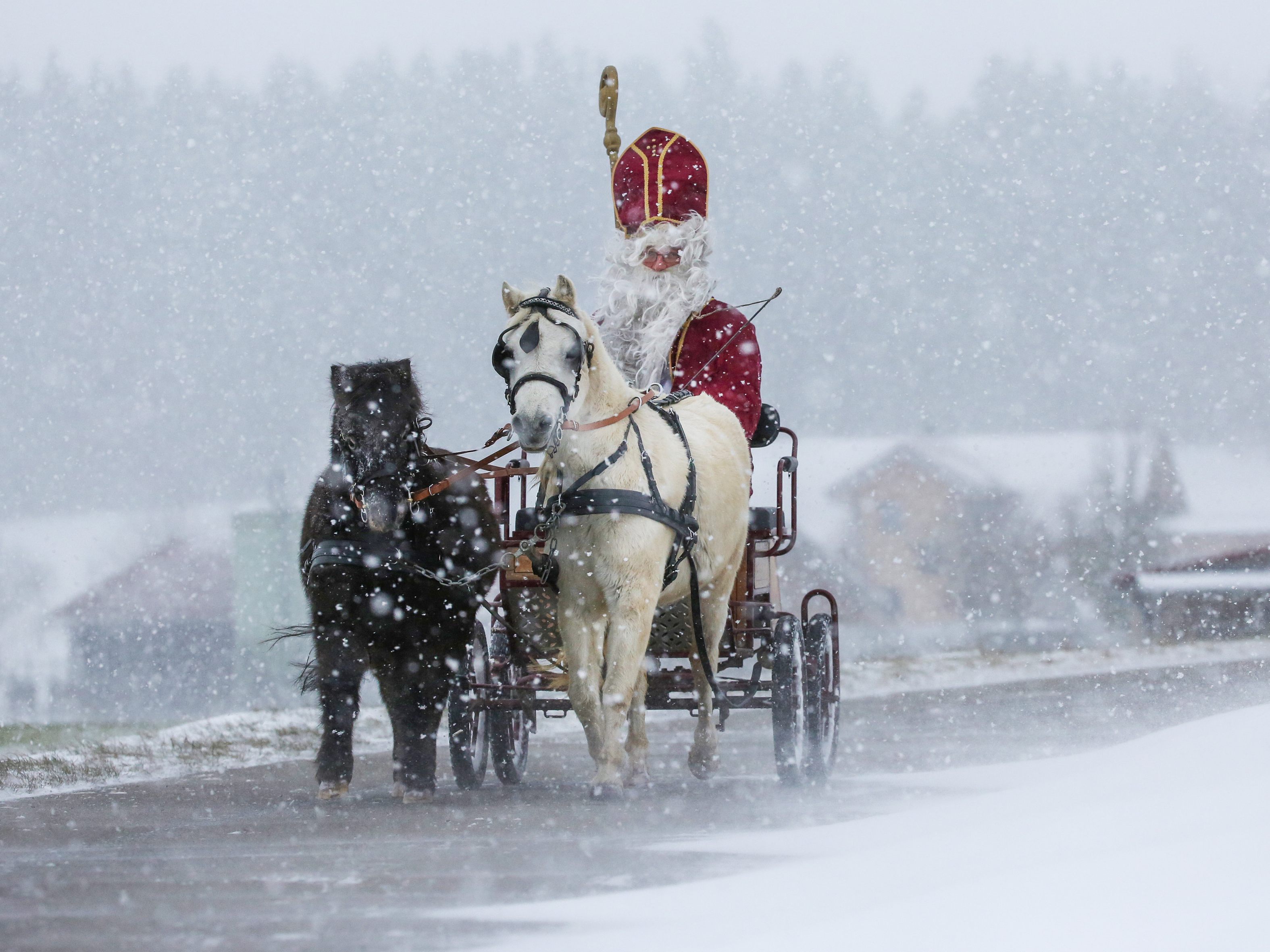 Am 6. Dezember kommt der Nikolaus. Am 6. Dezember kommt der Nikolaus.
