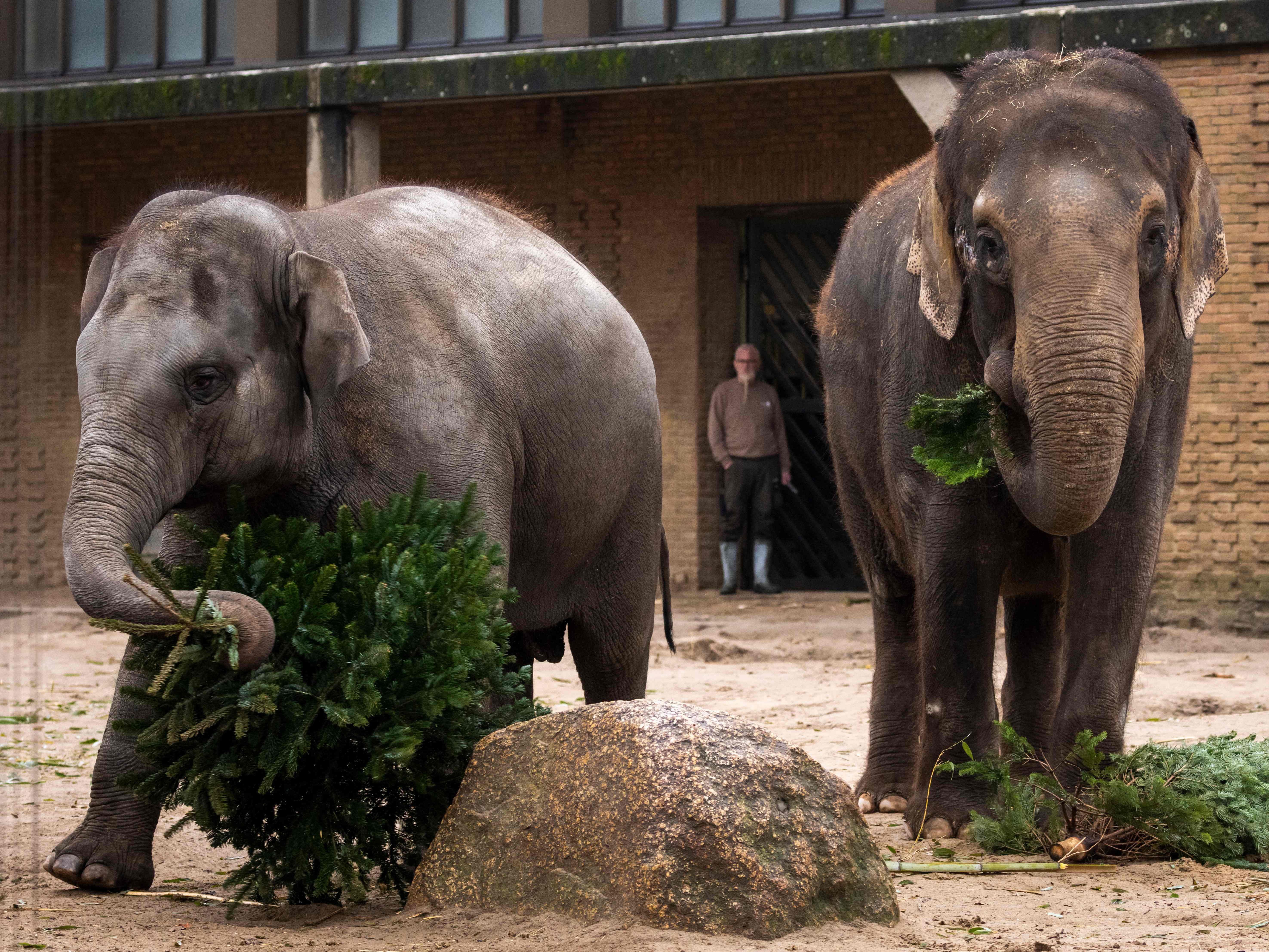 Die Freude bei den Zoo-Bewohnern ist groß.