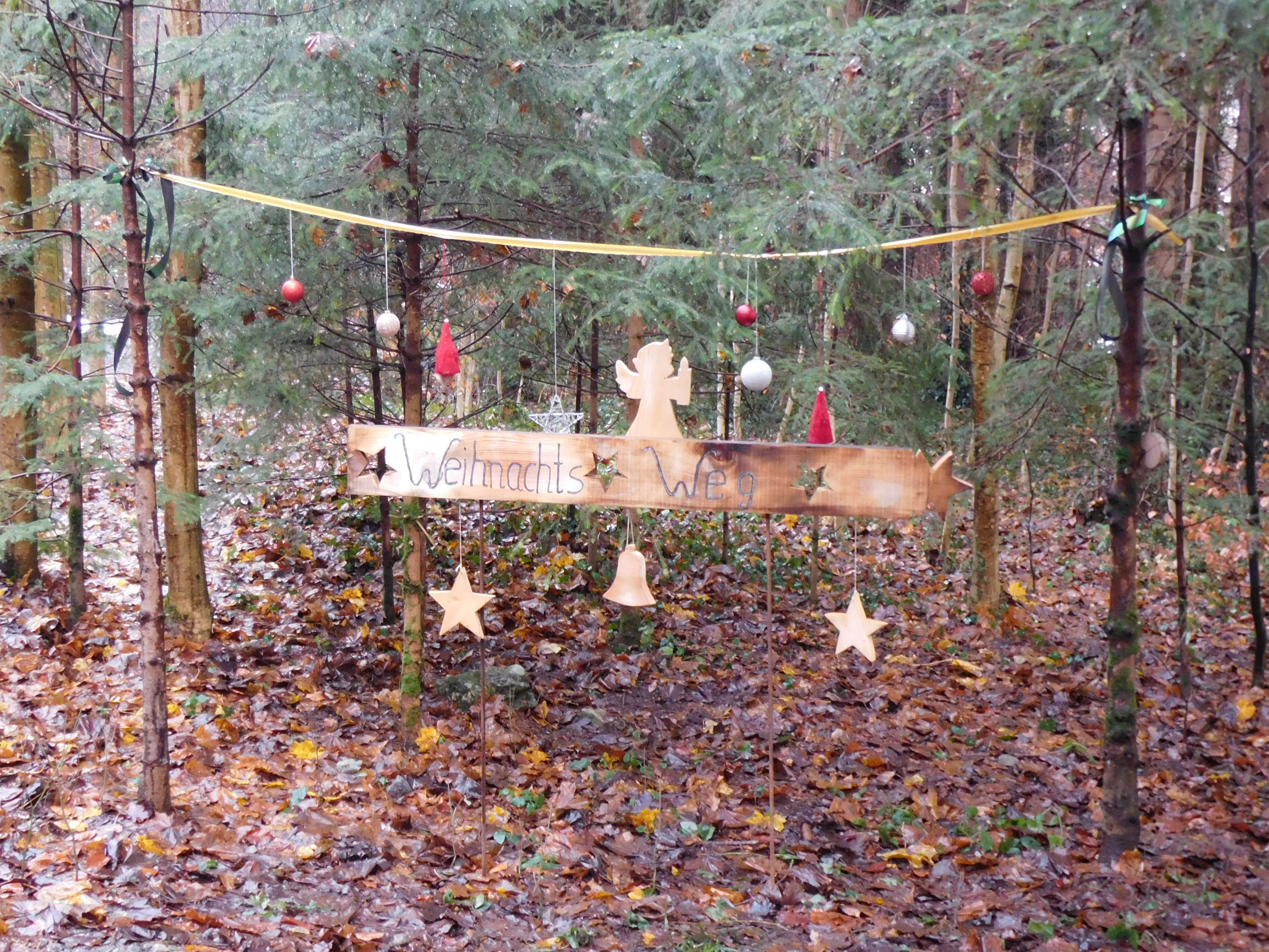 Der Wald in St. Arbogast lädt auf den Weihnachtsweg