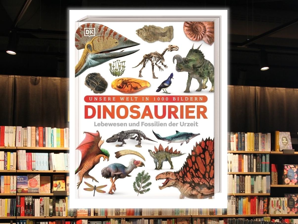 Die Buchempfehlungen finden Sie alle in der Buchhandlung "Das Buch". Die Buchempfehlungen finden Sie alle in der Buchhandlung "Das Buch".