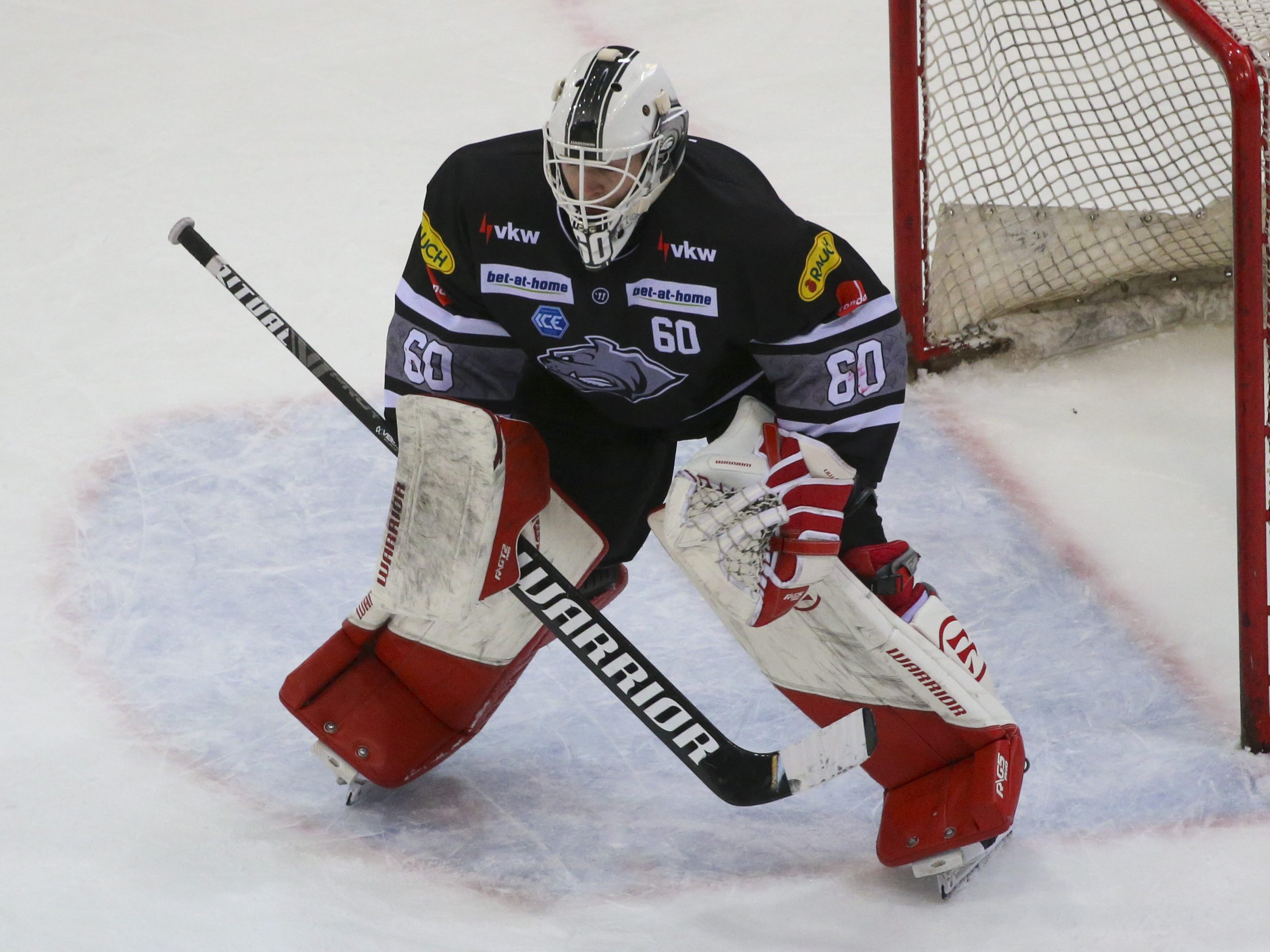 Nichts zu holen gab es heute für die Bulldogs in Villach.