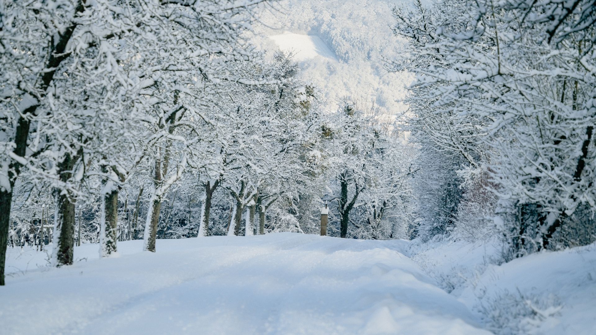 Früher war nicht mehr Neuschnee