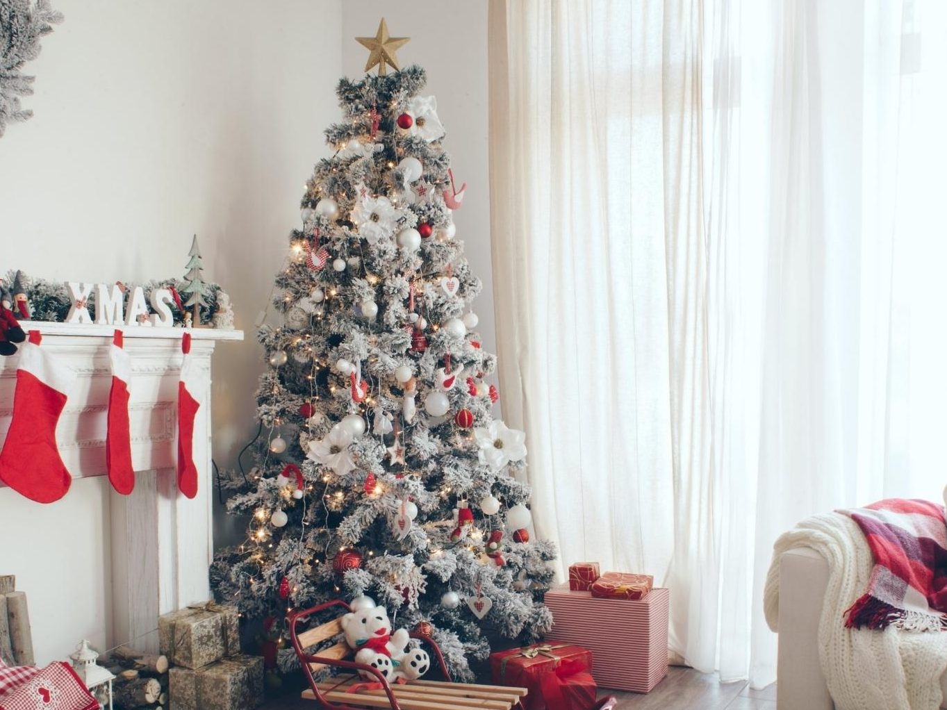 Alternativen zum Weihnachtsbaum
