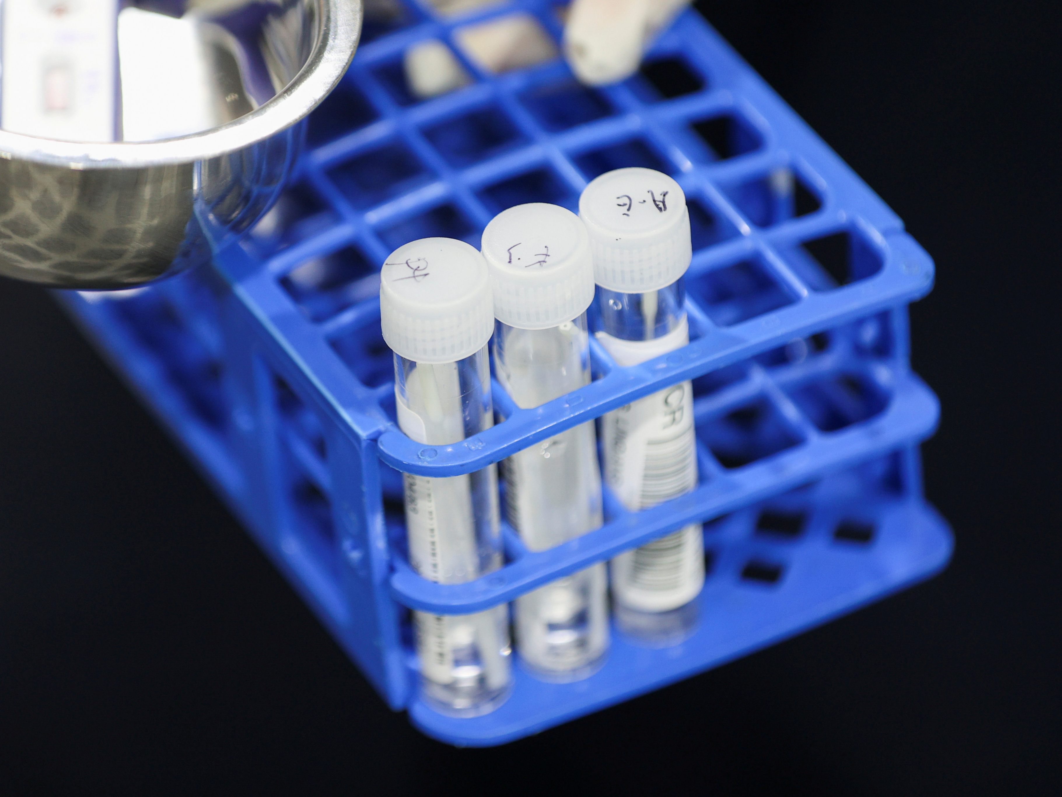 Am Donnerstag musste kein Omikron-Infizierten in einem niederösterreichischem Krankenhaus behandelt werden. Am Donnerstag musste kein Omikron-Infizierten in einem niederösterreichischem Krankenhaus behandelt werden.