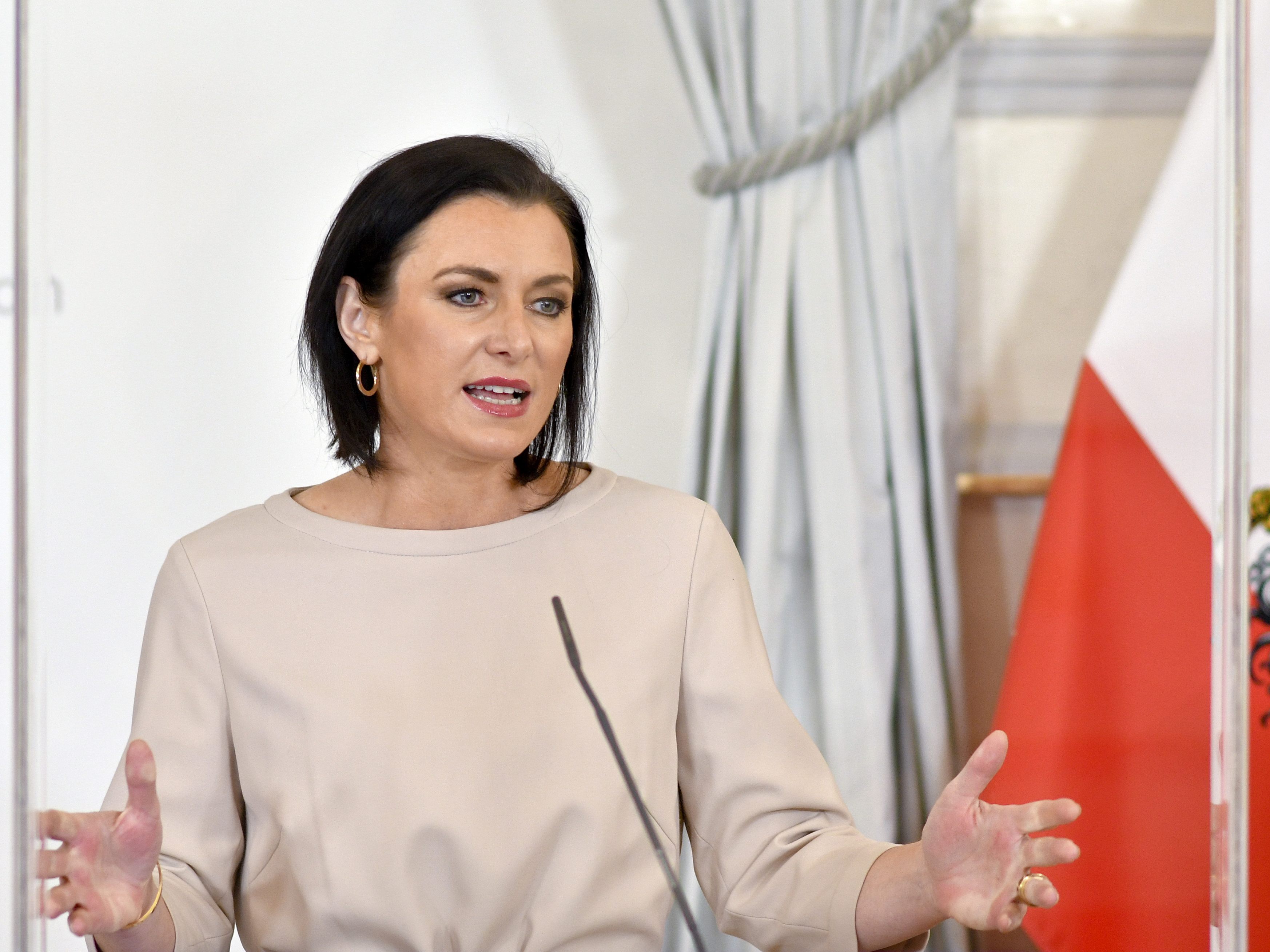 Kritik an Handelskonzernen kam von Elisabeth Köstinger. Kritik an Handelskonzernen kam von Elisabeth Köstinger.