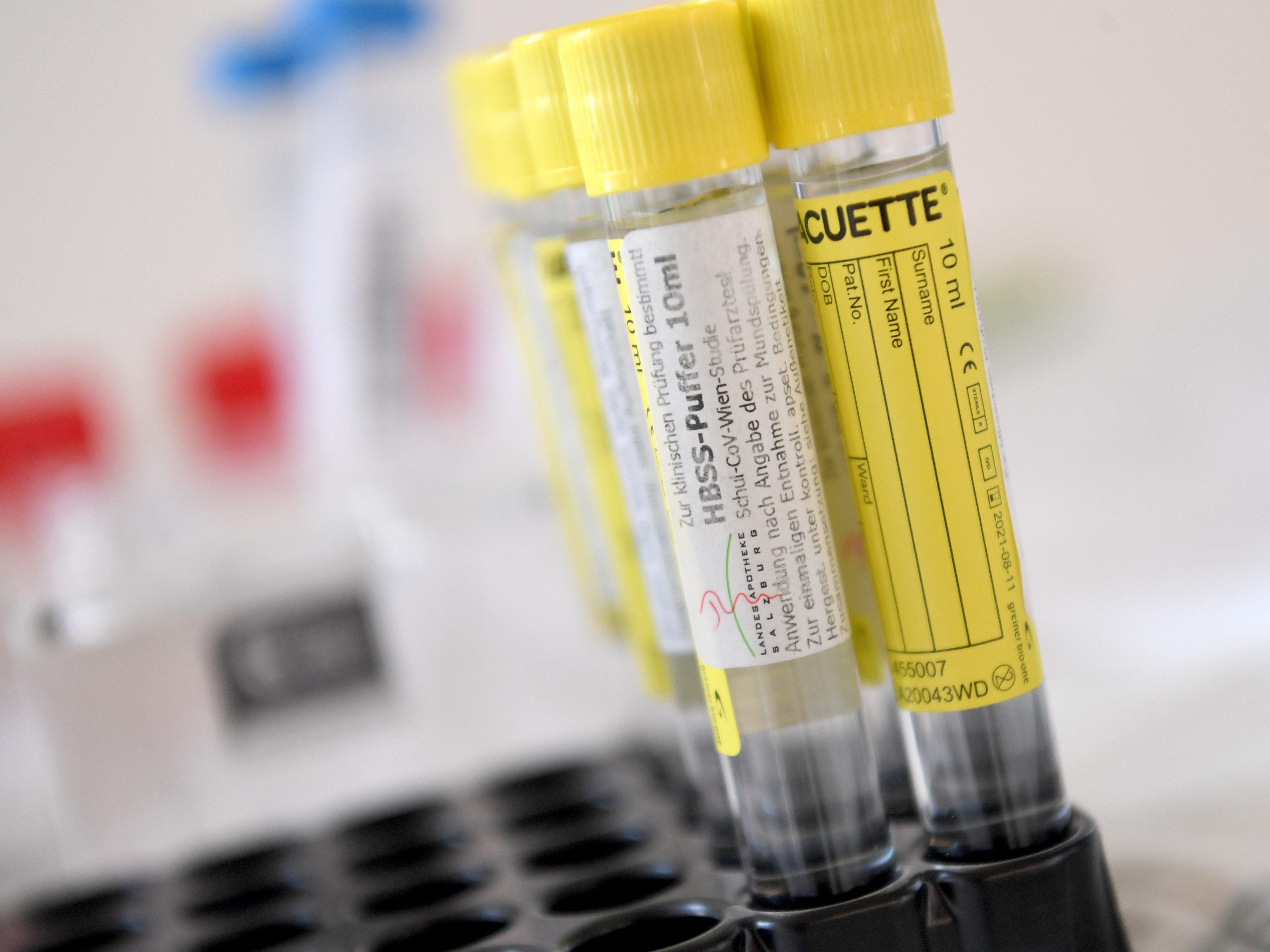 Starlinger kündigt österreichweites PCR-Testnetz ab April an. Starlinger kündigt österreichweites PCR-Testnetz ab April an.