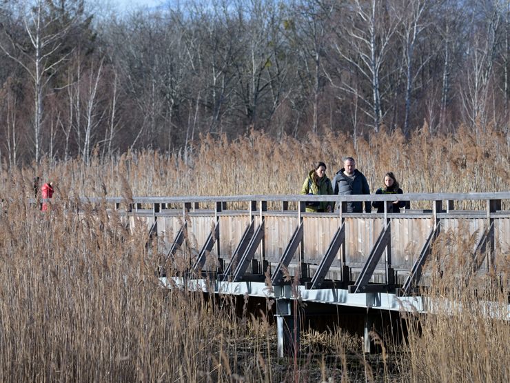 Im Tiefland war es einer der 25 wärmsten Jänner der 255-jährigen Messgeschichte. Im Tiefland war es einer der 25 wärmsten Jänner der 255-jährigen Messgeschichte.