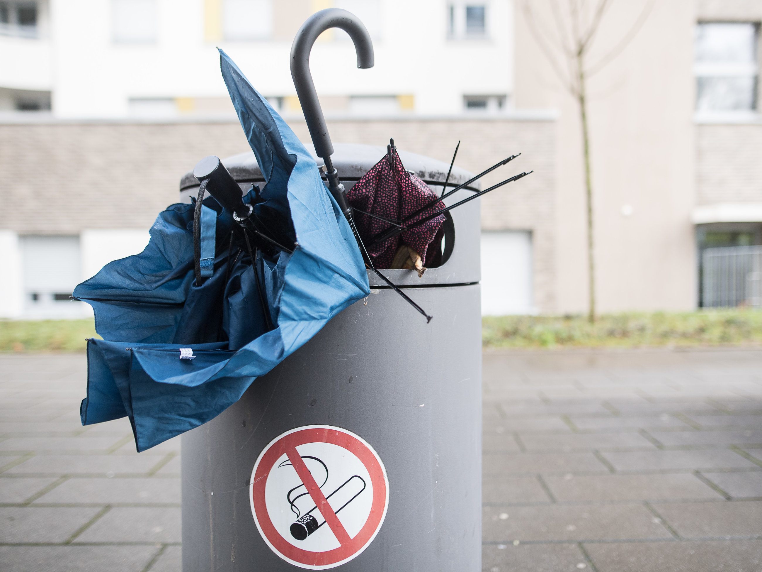 Regional muss am Wochenende mit kräftigen Sturmböen gerechnet werden.