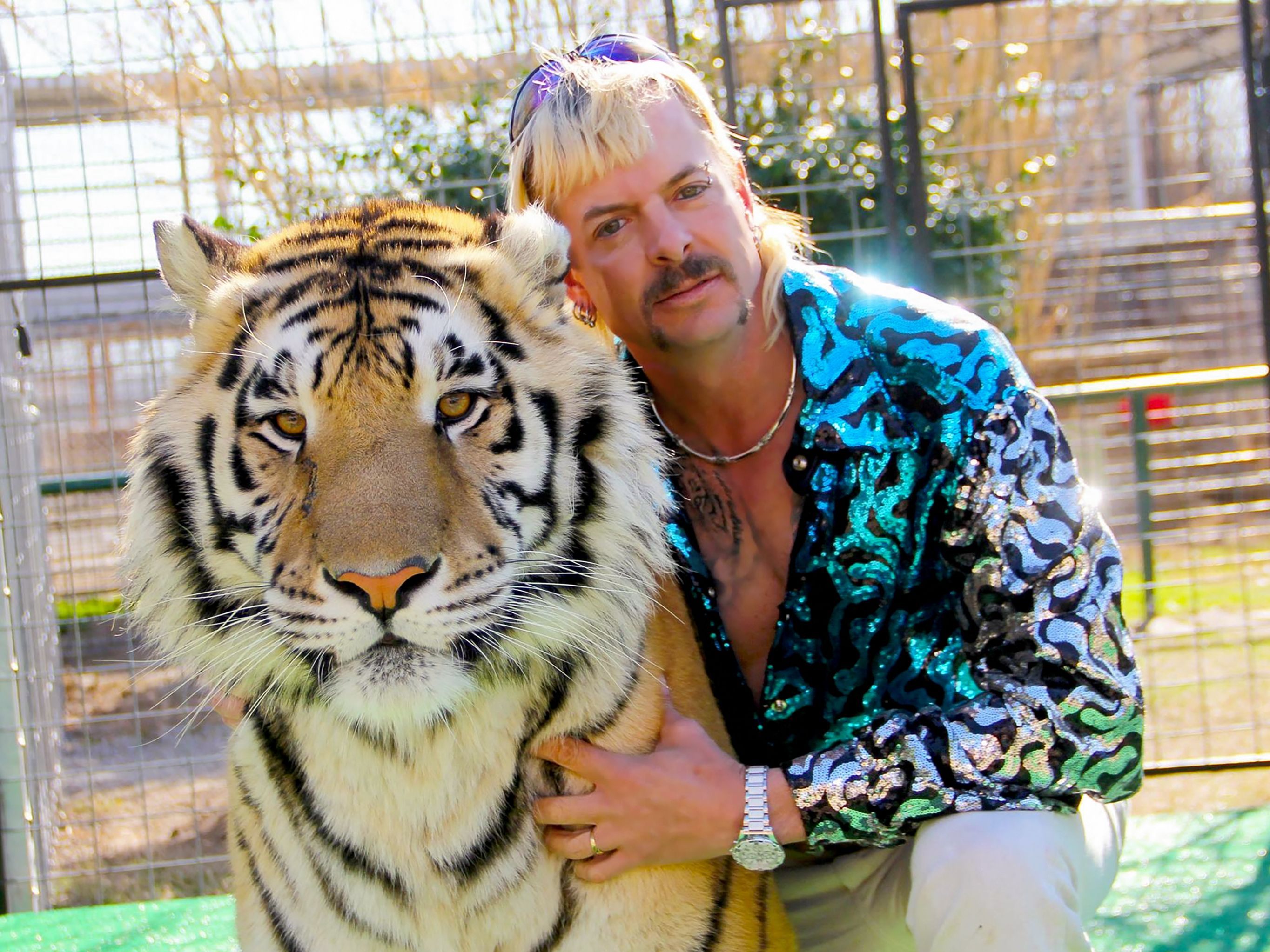 "Joe Exotic" wurde zu 20 Jahren Haft wegen veruschten Mordes verurteilt. "Joe Exotic" wurde zu 20 Jahren Haft wegen veruschten Mordes verurteilt.