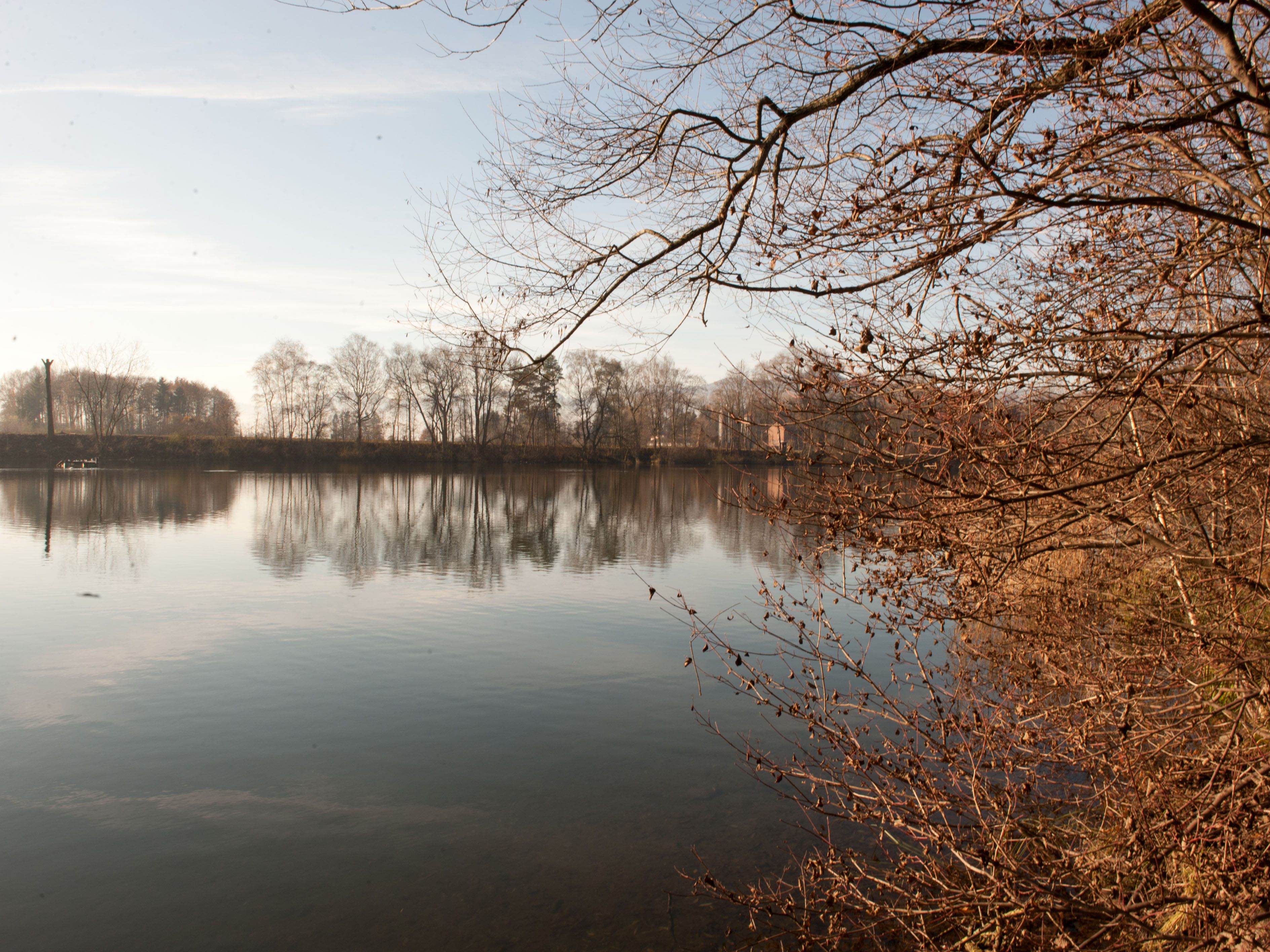 Eine Joggerin wollte sich lediglich nach dem Laufen im Alten Rhein abkühlen. (Symbolbild)
