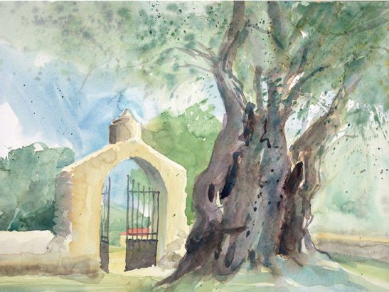 „Calenzana“ (Korsika)