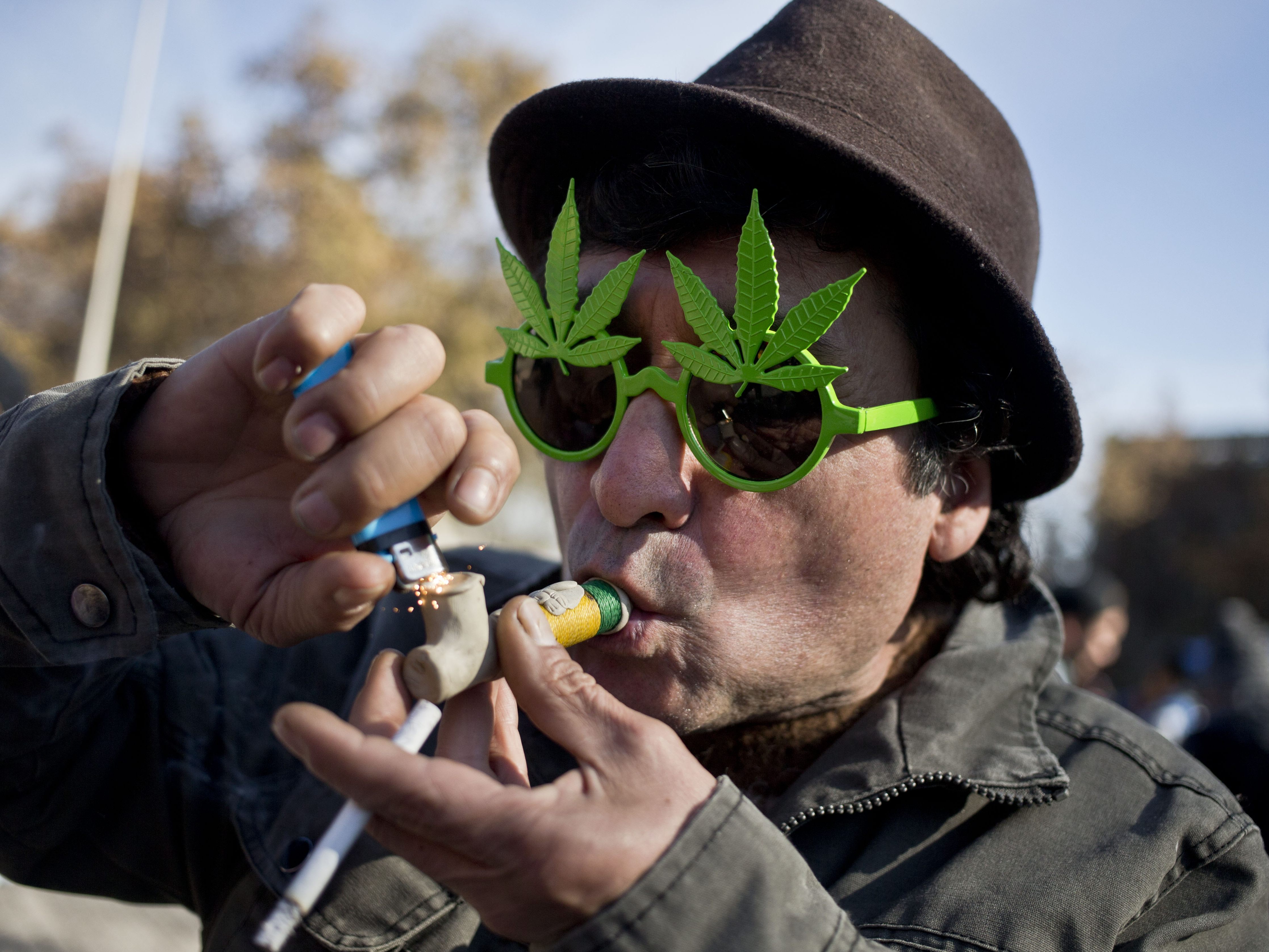 Das Potenzial von Cannabis scheint noch lange nicht ausgeschöpft zu sein.