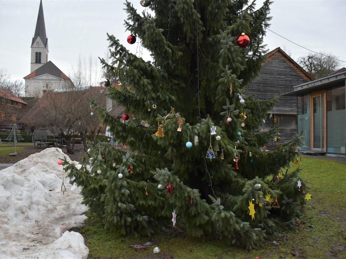 Geschmückter Tannenbaum am Marktplatz Geschmückter Tannenbaum am Marktplatz