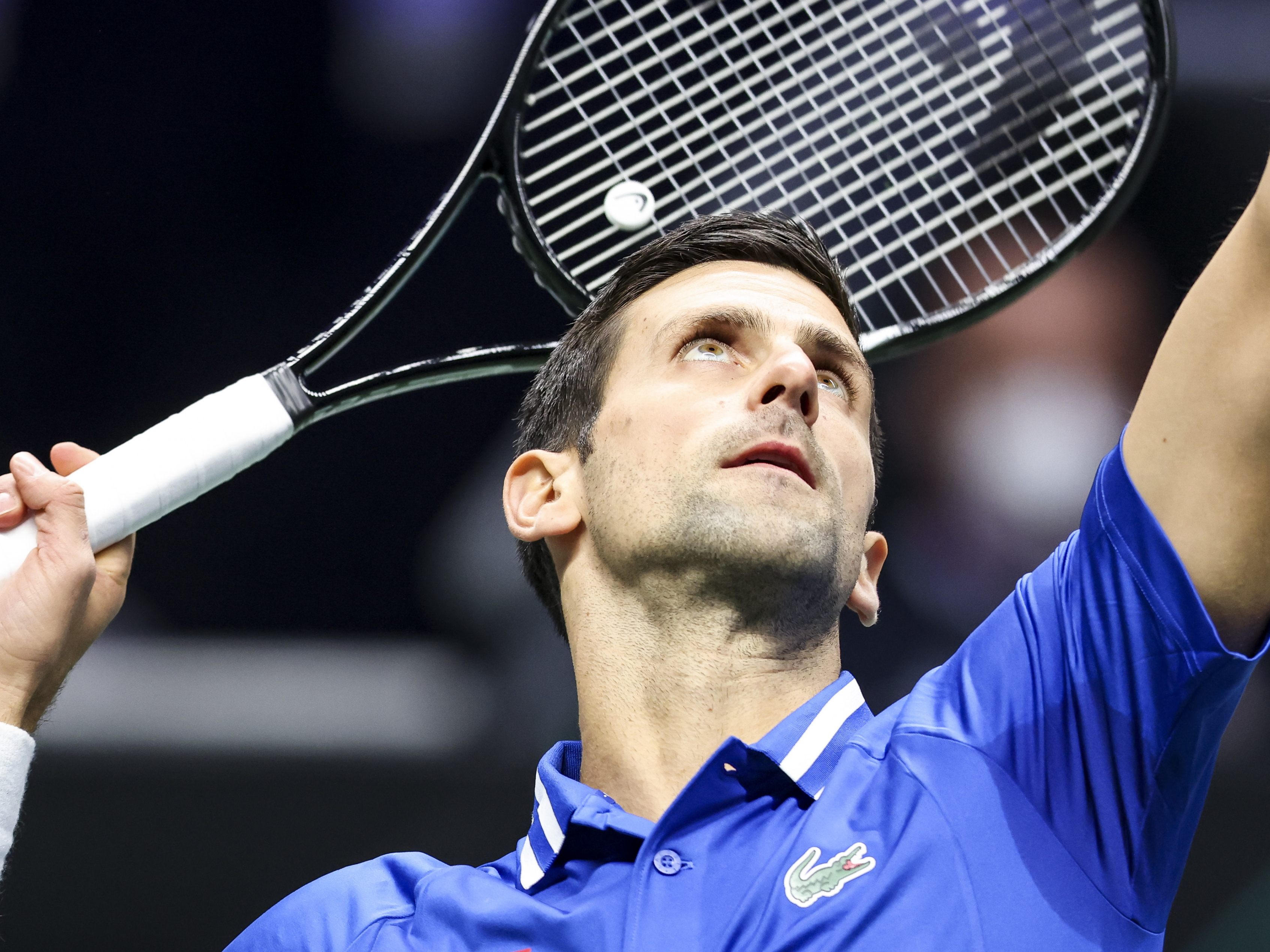 Fragen und Antworten zum Fall Djokovic