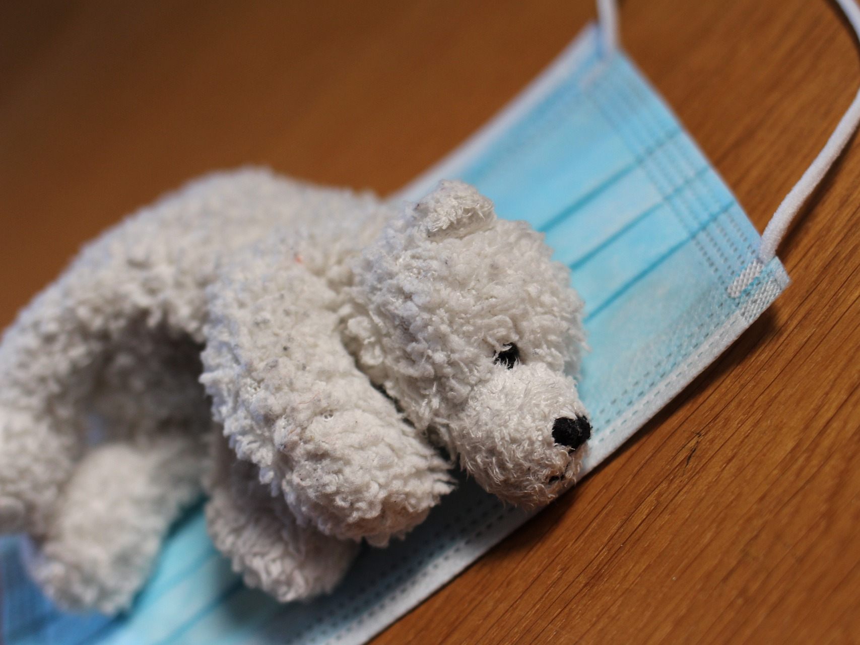 Kaum zu glauben: Corona-Kuscheltiere sind gefragt. Kaum zu glauben: Corona-Kuscheltiere sind gefragt.