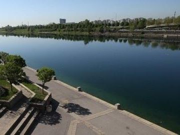 Vielseitiges Freitzeitareal: Ein EU-gefördertes Projekt widmete sich dem Wald auf Wiens Donauinsel