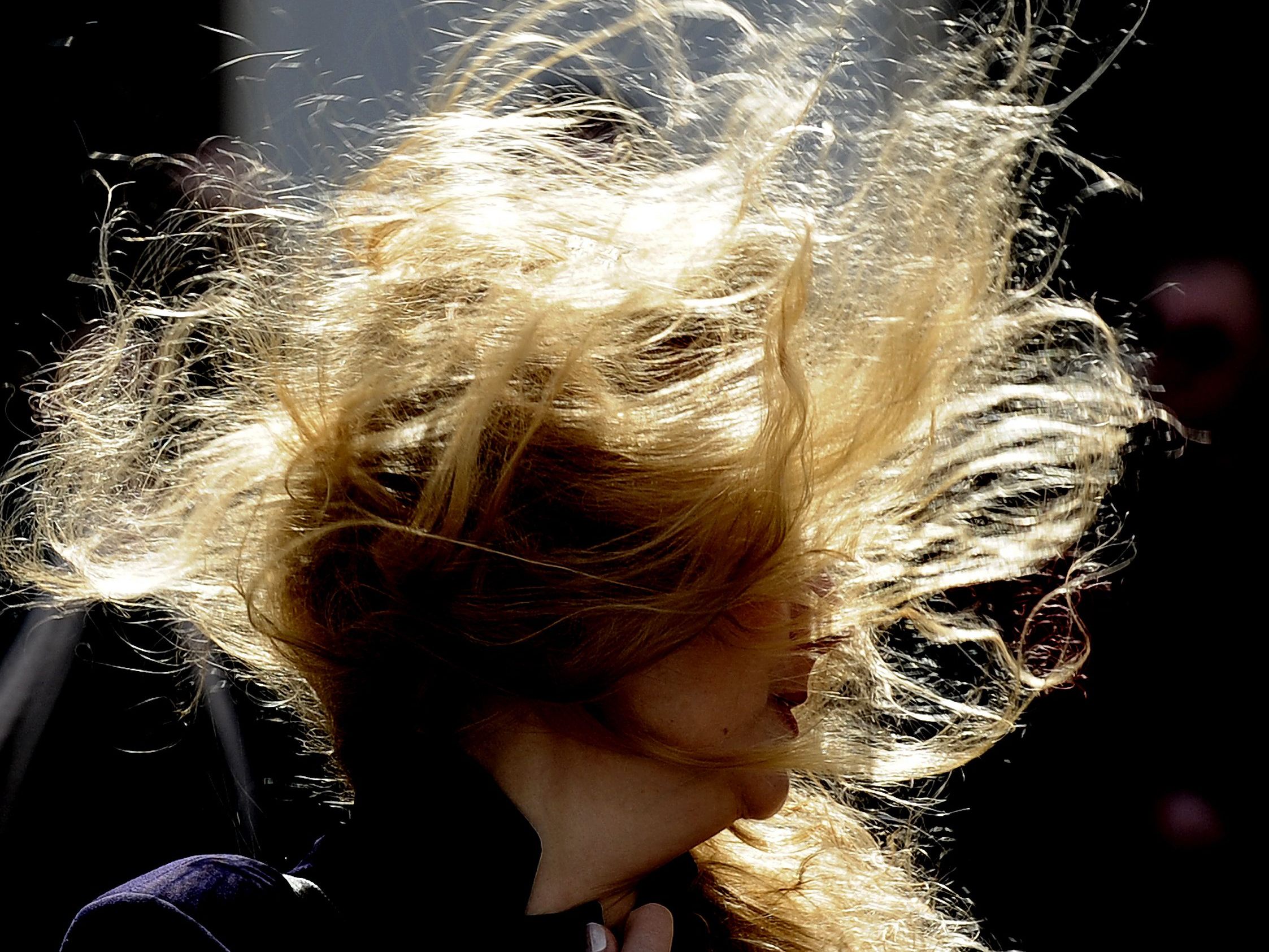 In Wien bläst ordentlich der Wind.