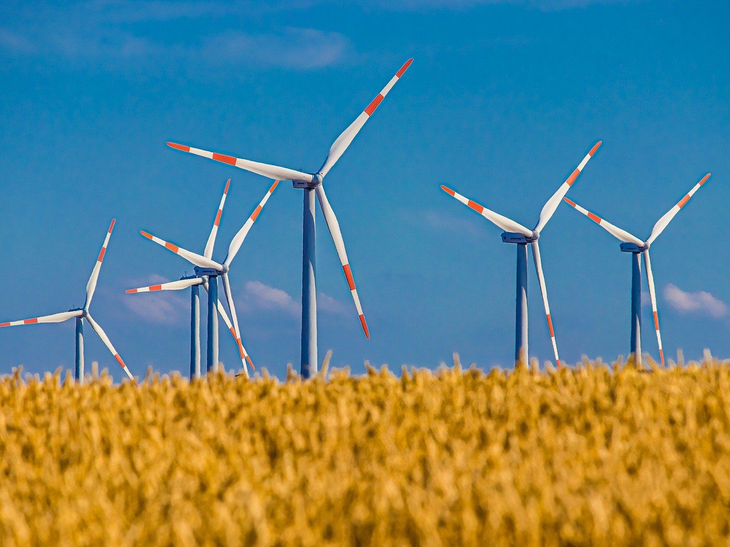 Bis 2030 sollen Erneuerbare Energiegemeinschaften in allen 573 niederösterreichischen Gemeinden zu finden sein. Bis 2030 sollen Erneuerbare Energiegemeinschaften in allen 573 niederösterreichischen Gemeinden zu finden sein.