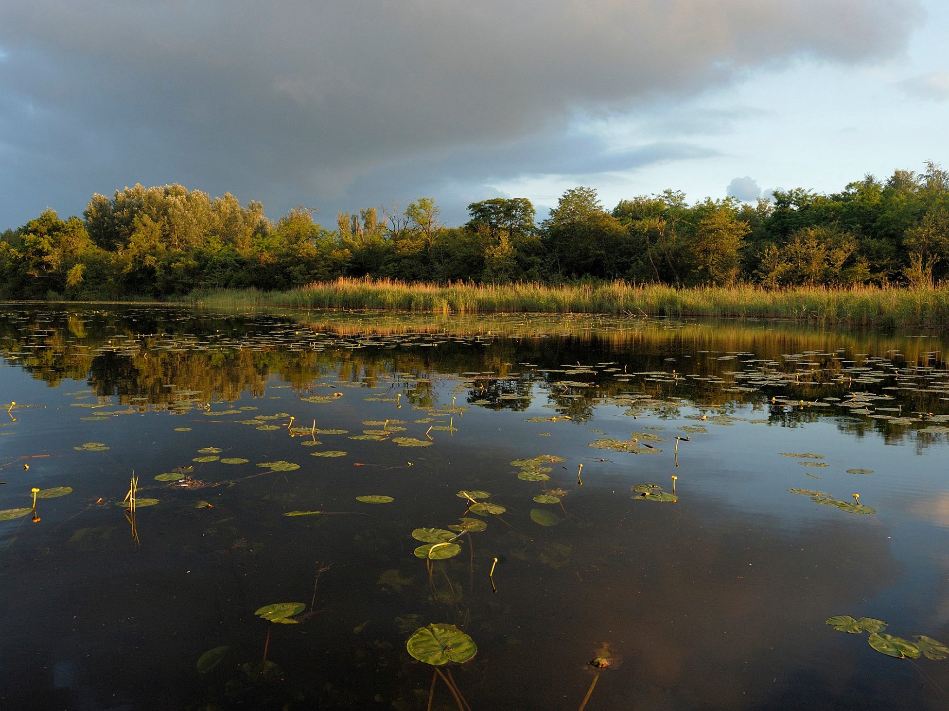 Ur-Donau-Delta im Norden von Wien entdeckt.