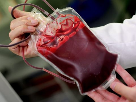 Kein Blut von Geimpften: Eltern verloren Sorgerecht.