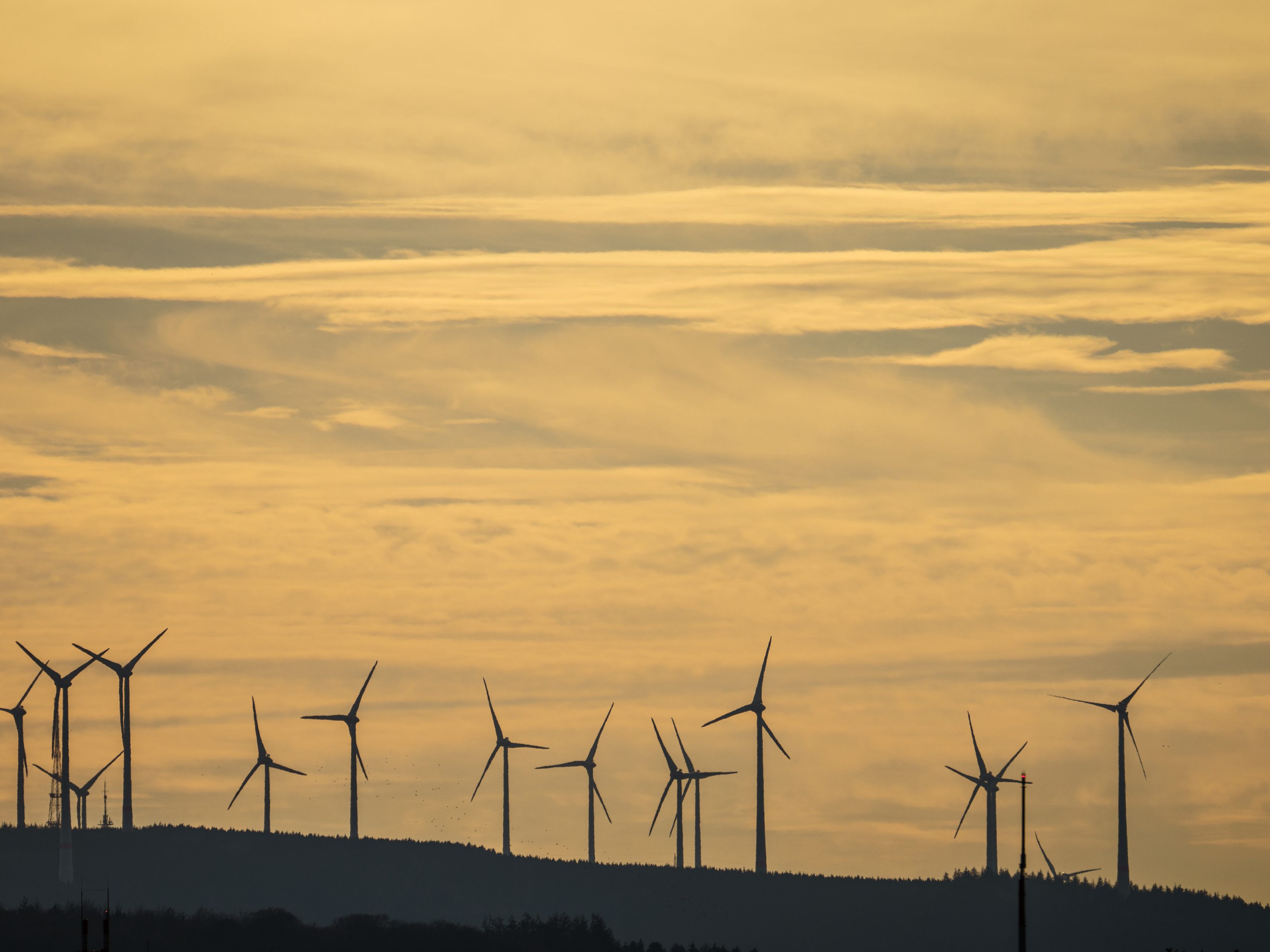 Die EVN investiert 52 Millionen Euro in einen neuen Windpark in Niederösterreich. Die EVN investiert 52 Millionen Euro in einen neuen Windpark in Niederösterreich.
