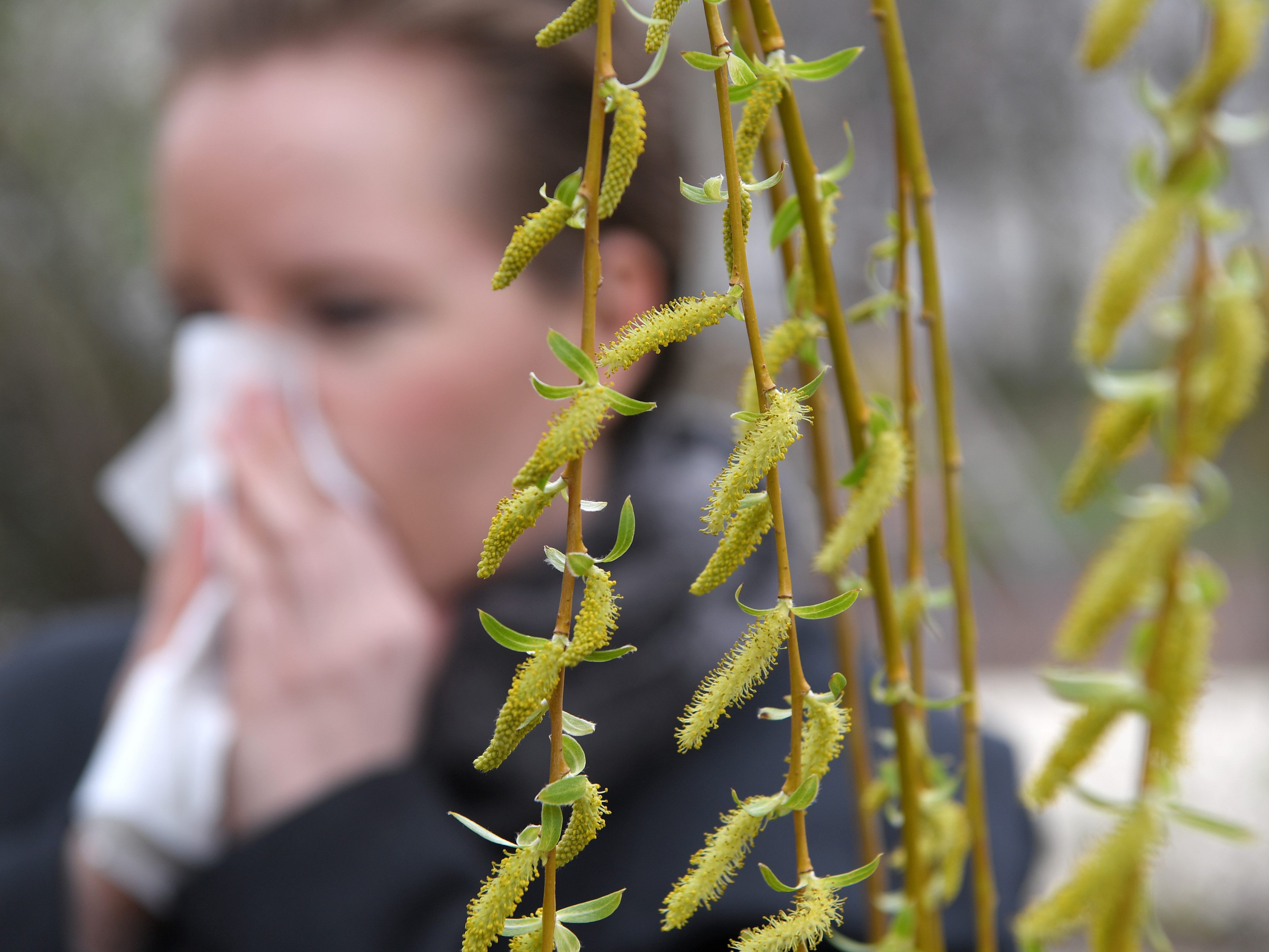 So unterscheiden sich die Symptome einer Omikron-Infektion und einer Allergie. So unterscheiden sich die Symptome einer Omikron-Infektion und einer Allergie.