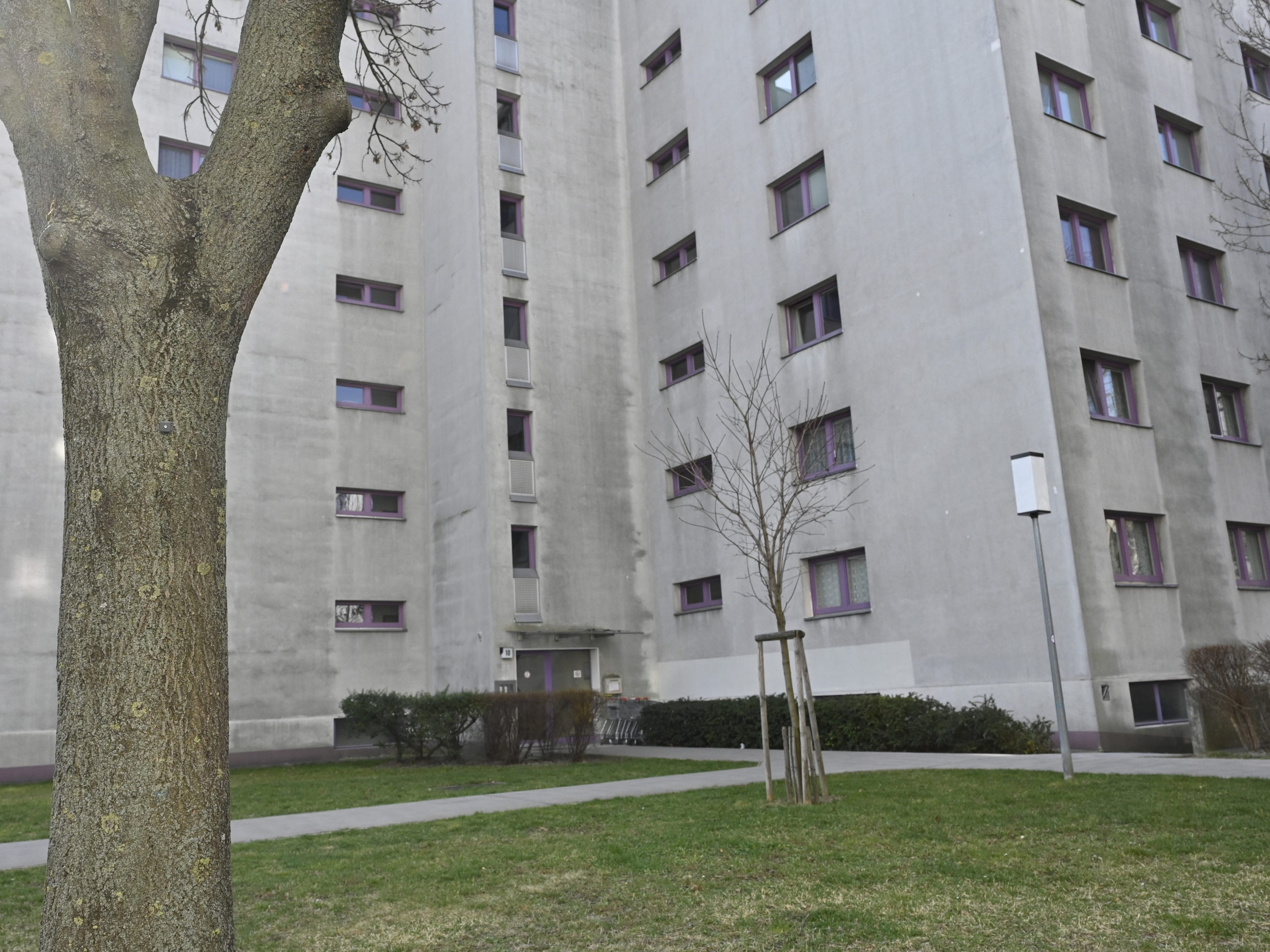 Bei den Leichen, die in einer Floridsdorfer Wohnung gefunden wurden, könnte es sich um Mord und Selbstmord handeln. Bei den Leichen, die in einer Floridsdorfer Wohnung gefunden wurden, könnte es sich um Mord und Selbstmord handeln.