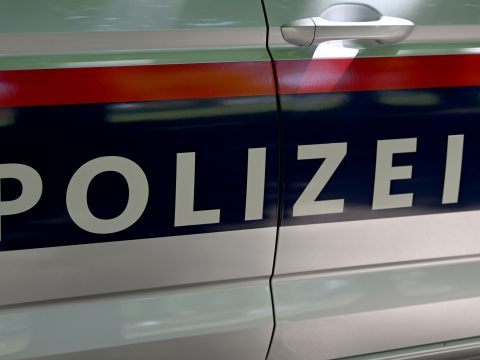 Ein Jugendlicher verletzte zwei Wiener Polizisten.