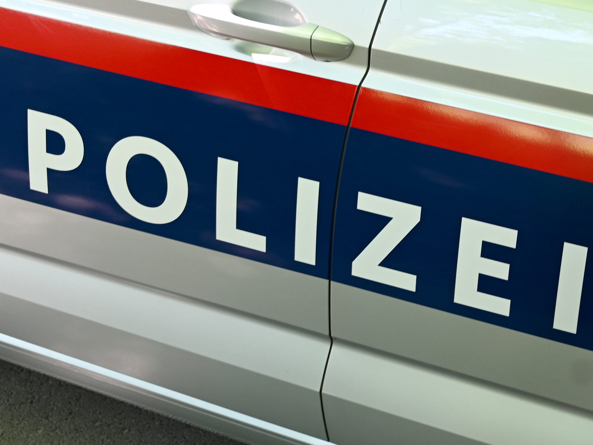 Ein Polizist wurde beim Einsatz leicht verletzt. Ein Polizist wurde beim Einsatz leicht verletzt.